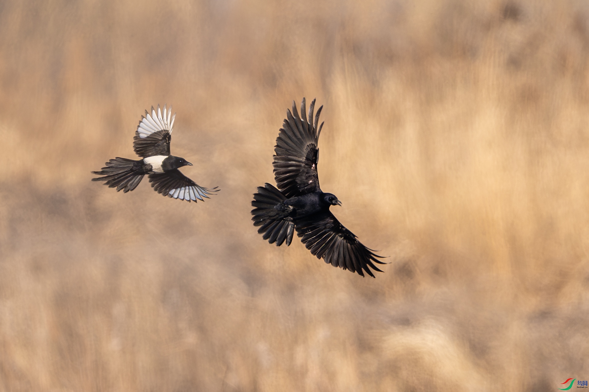 _DSC6149 ����С.jpg