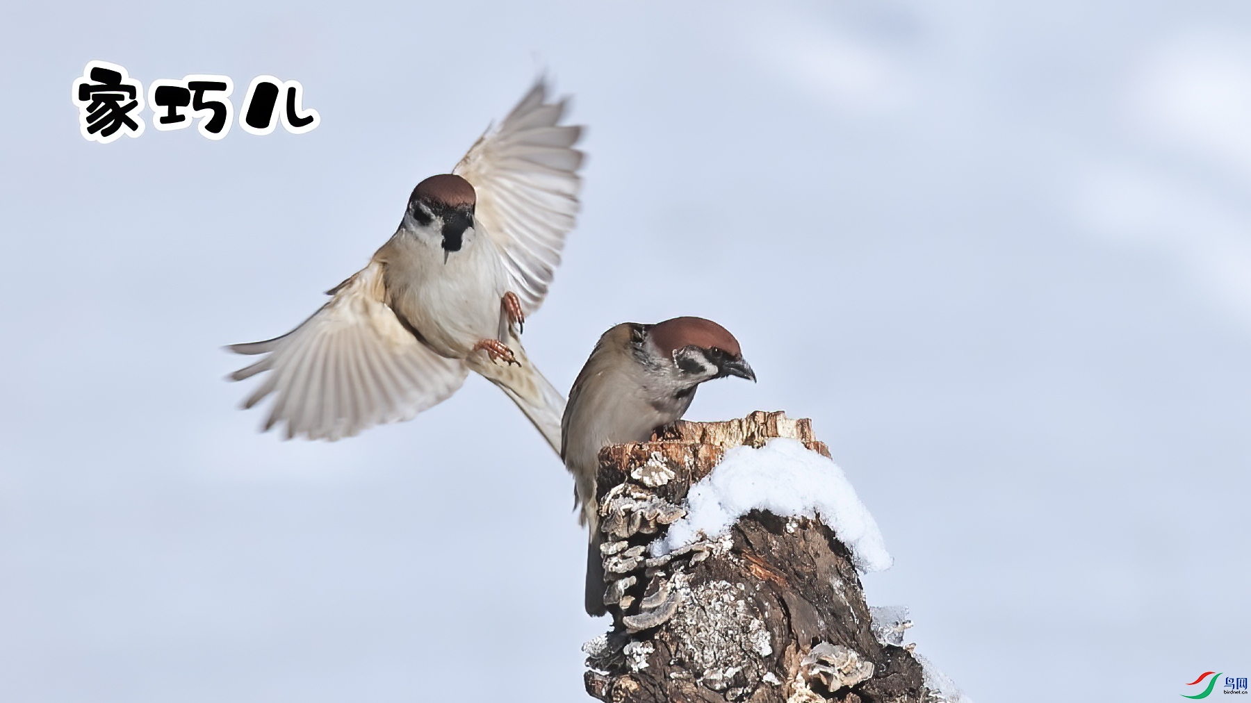 ���ɶ�-���� ����.jpg