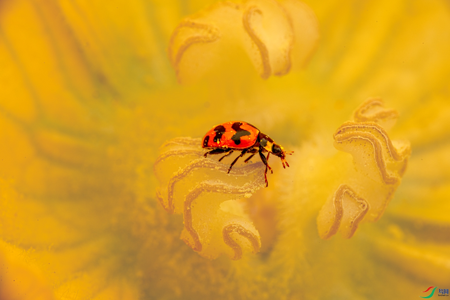 380A6669_1.JPG