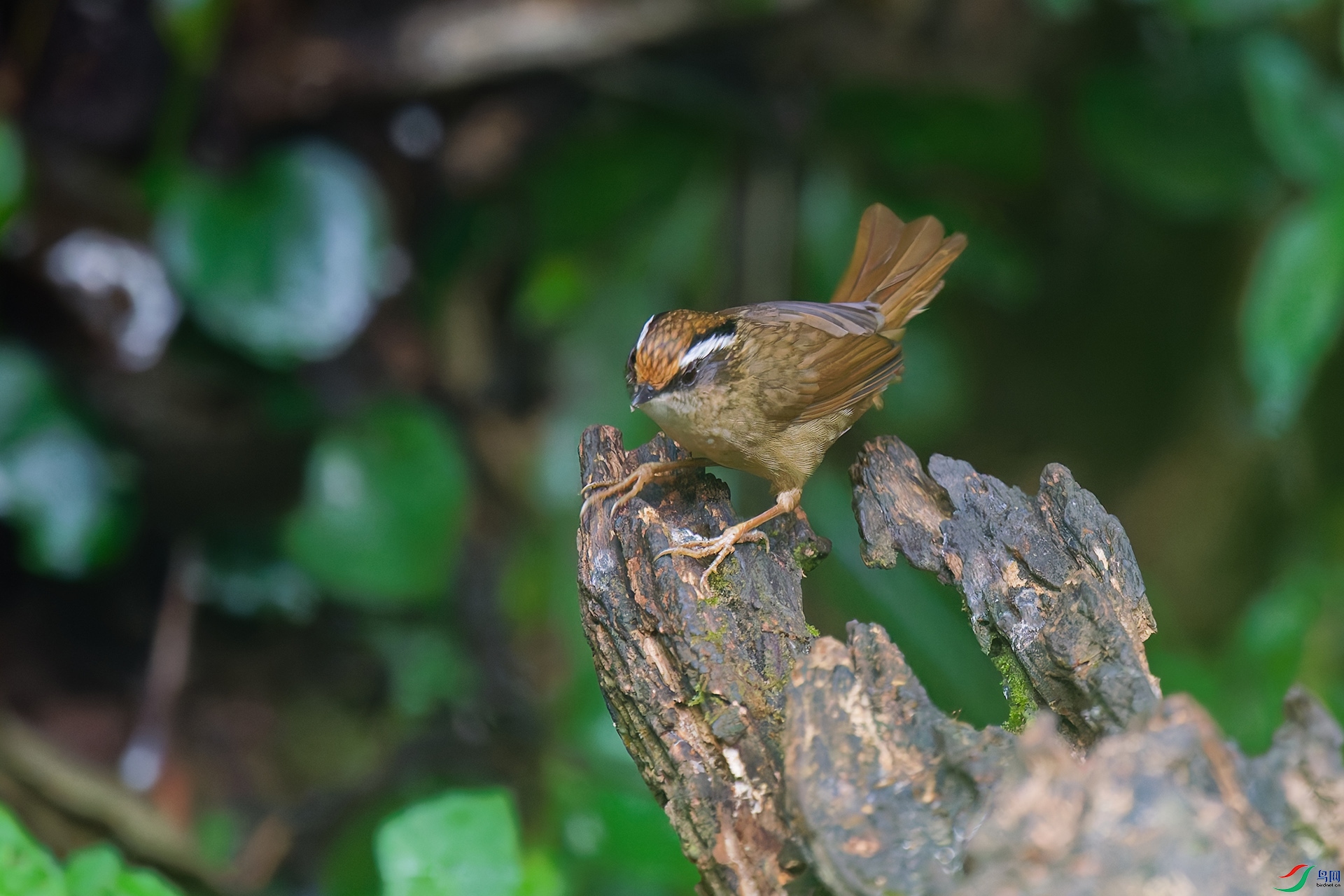 DSC_5495_DxO_DxOa.jpg