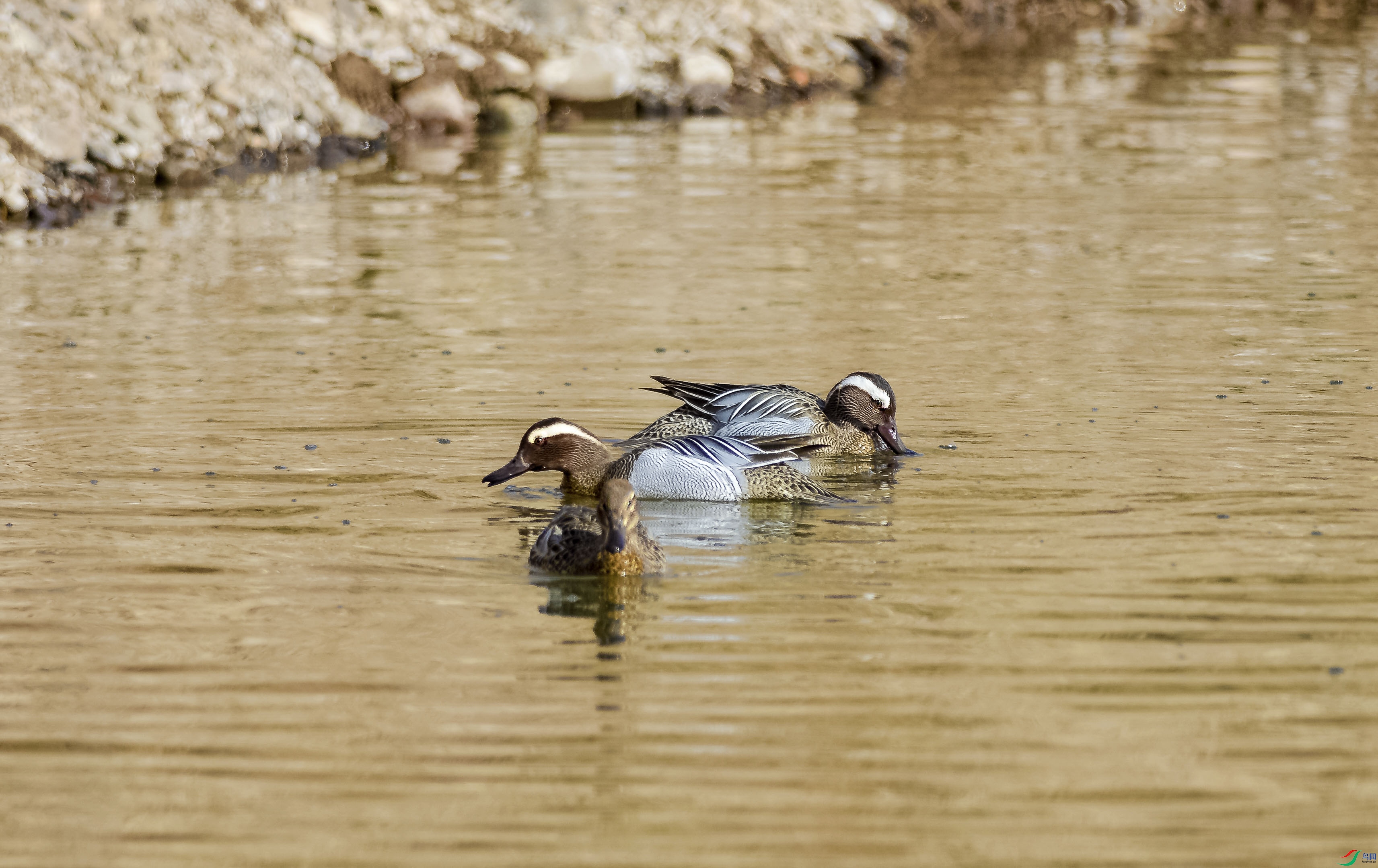 DSC_6472.jpg