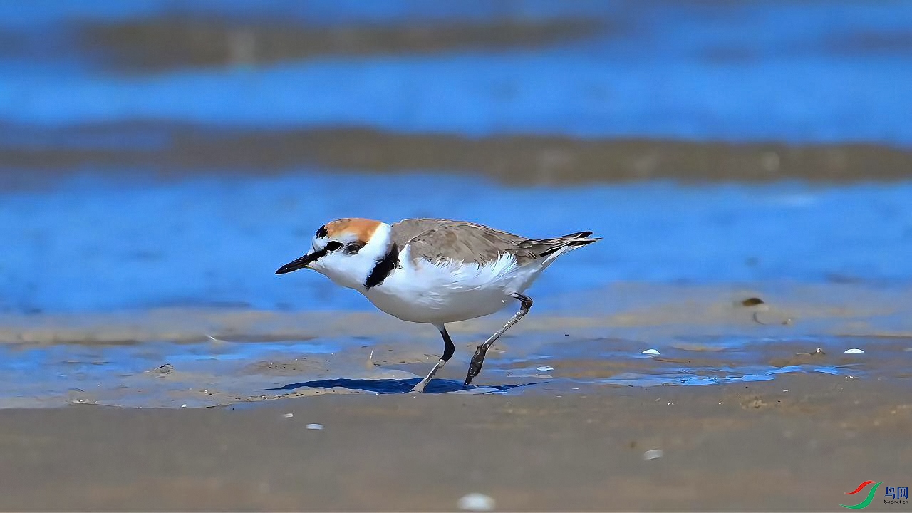 3��9�� (2)С�������Ļ����a-����.jpg