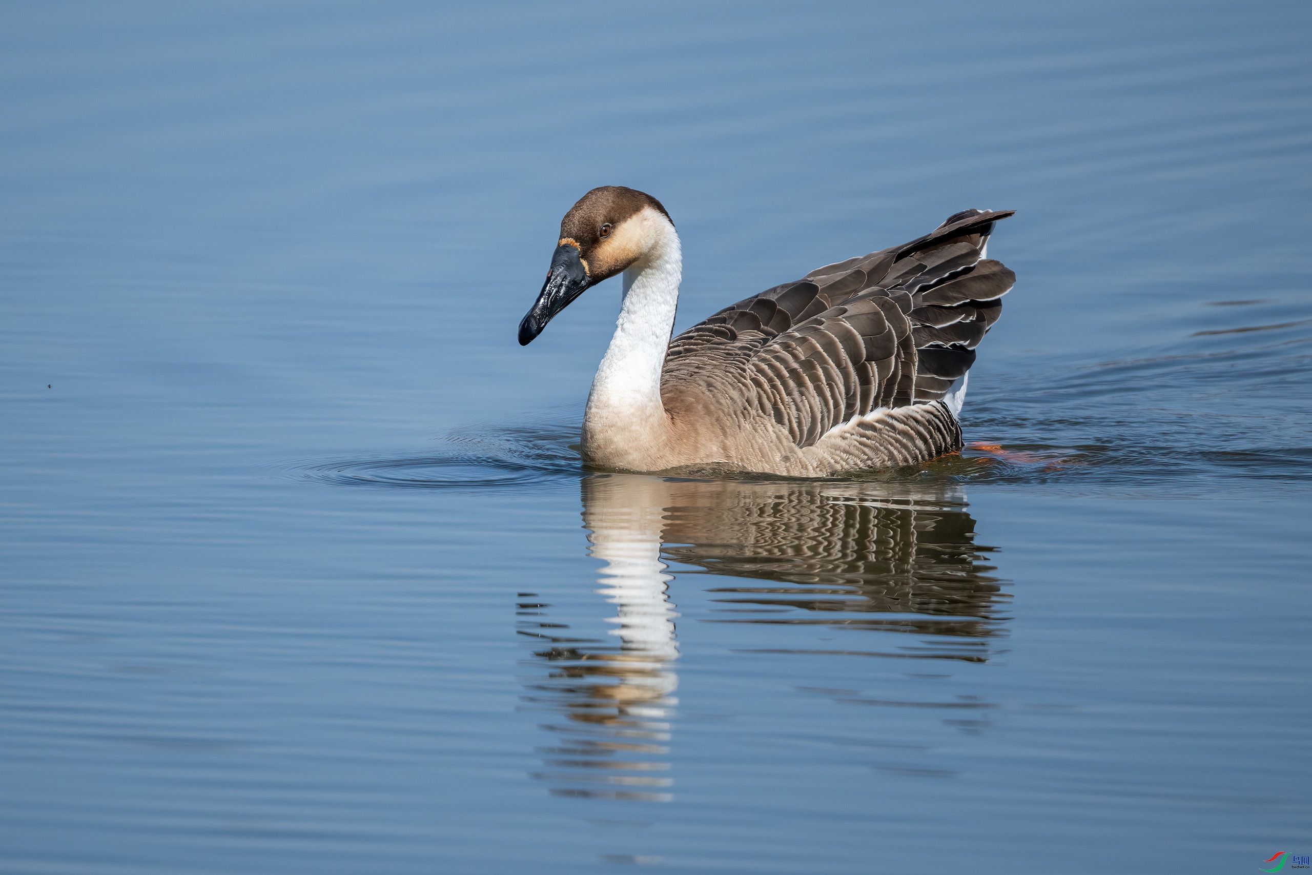 _DSC4156-Z9.jpg