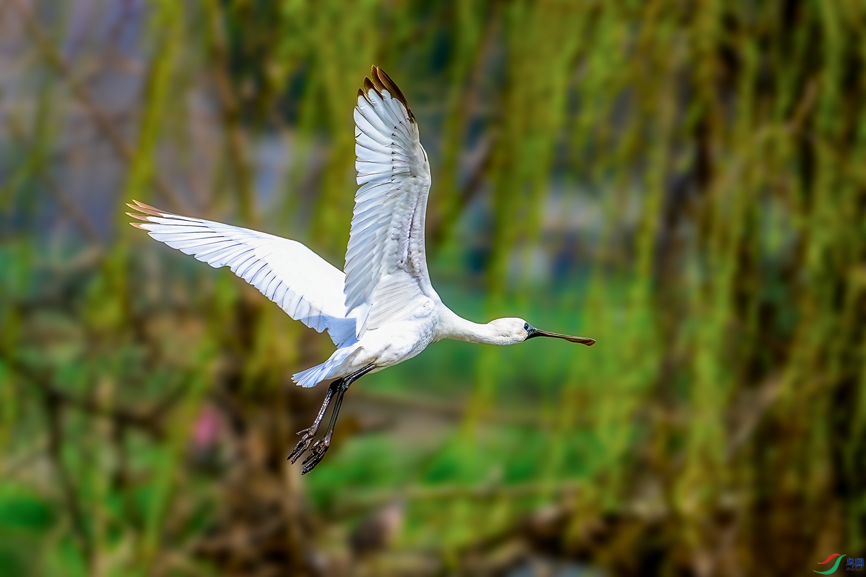 DSC_2892b.jpg