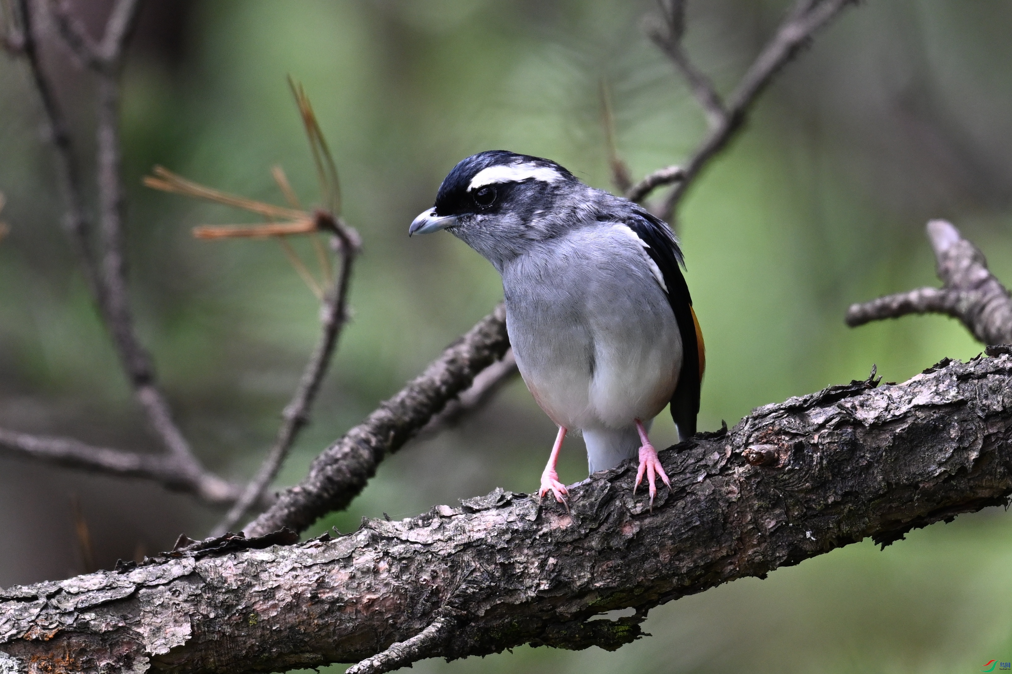 DSC_1382.JPG