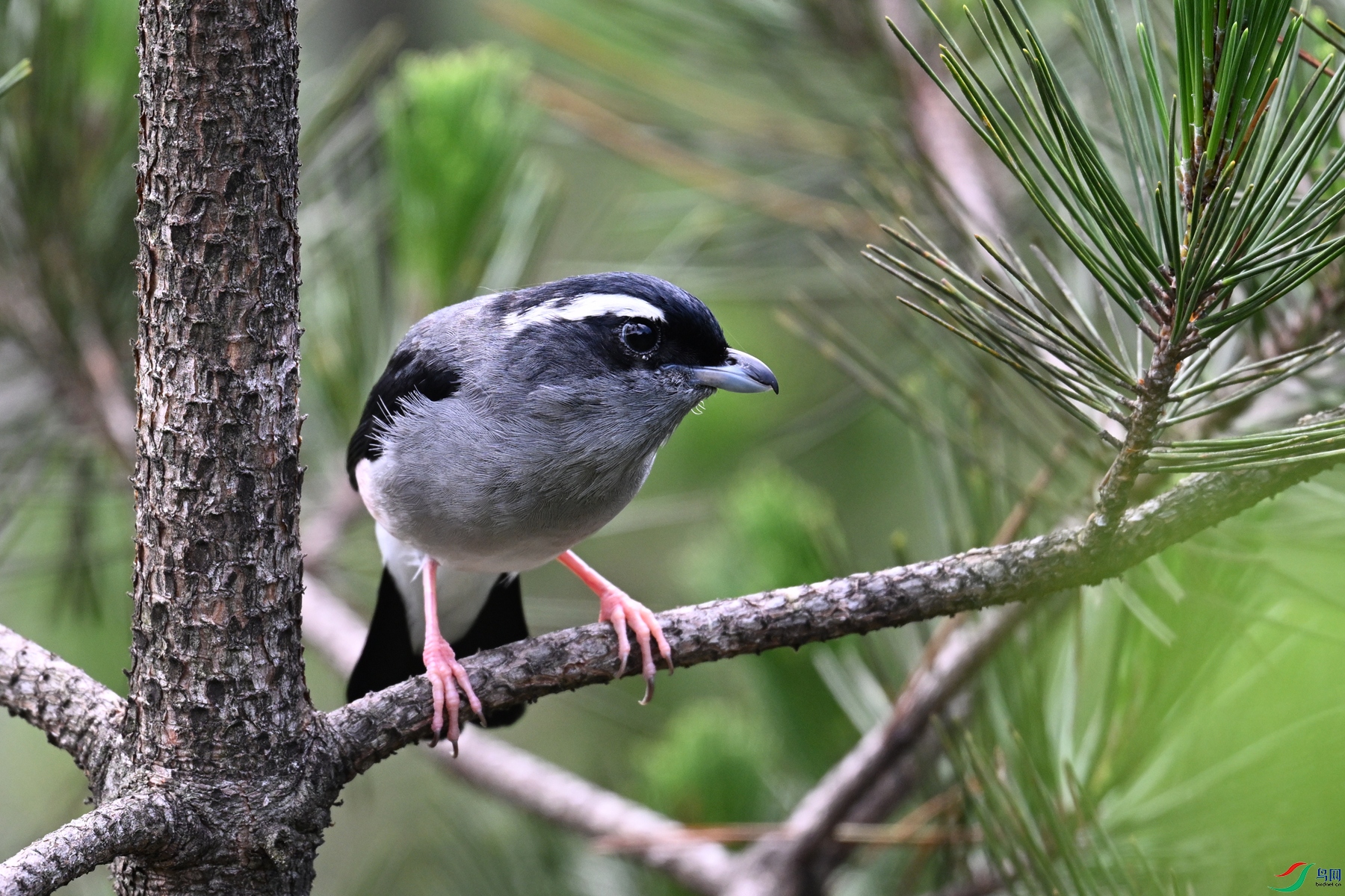 DSC_1312.JPG
