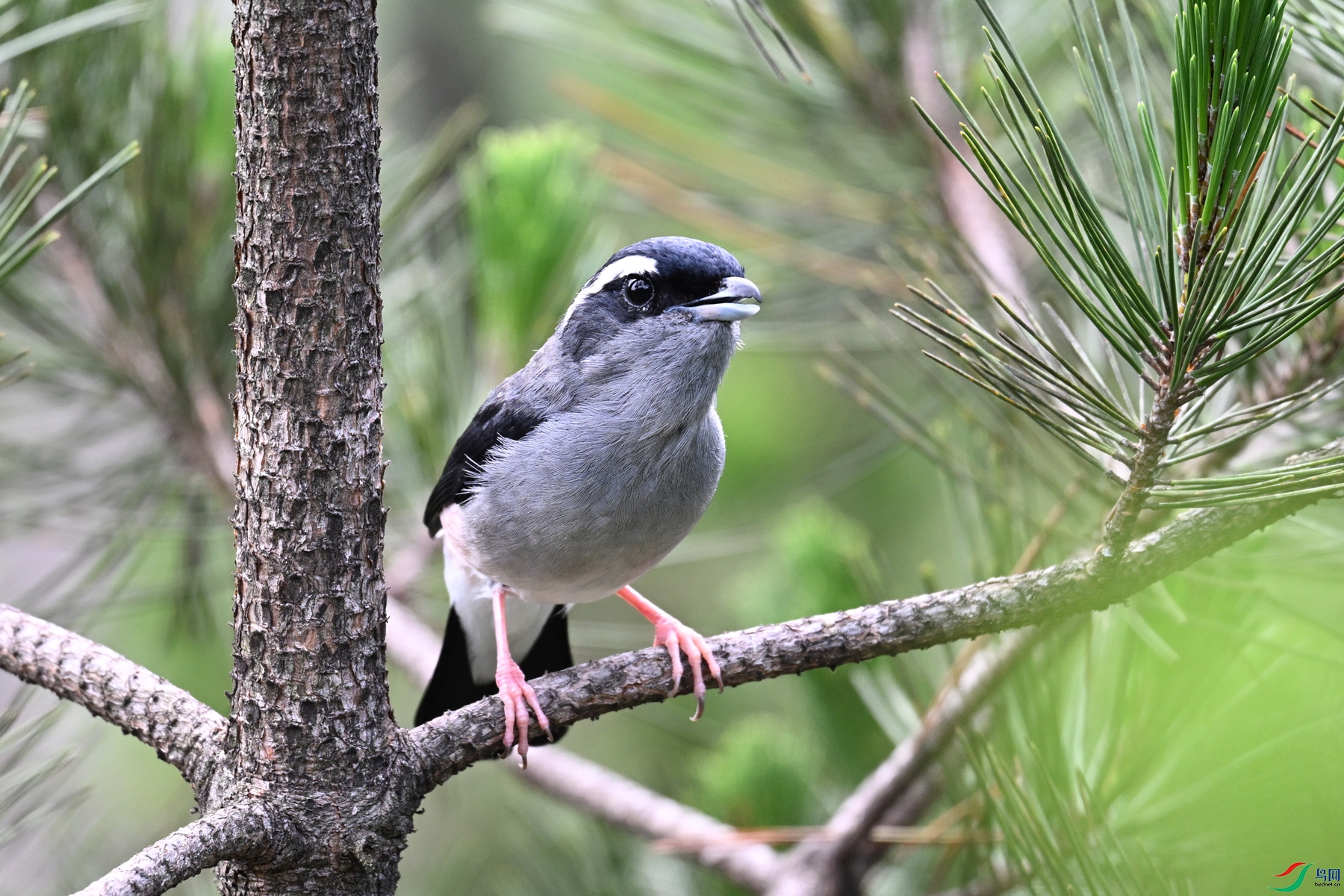 DSC_1314.JPG