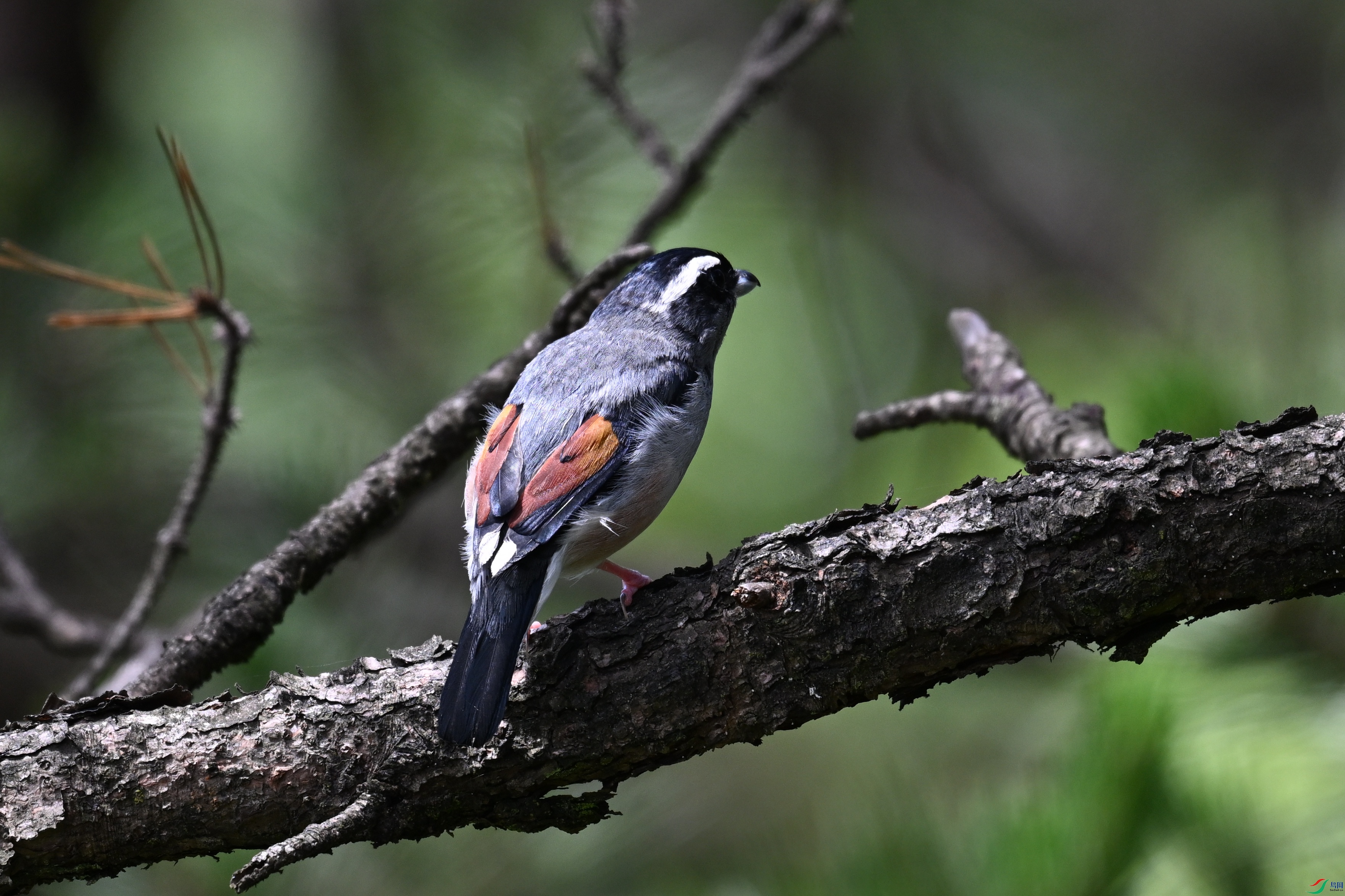 DSC_1392.JPG