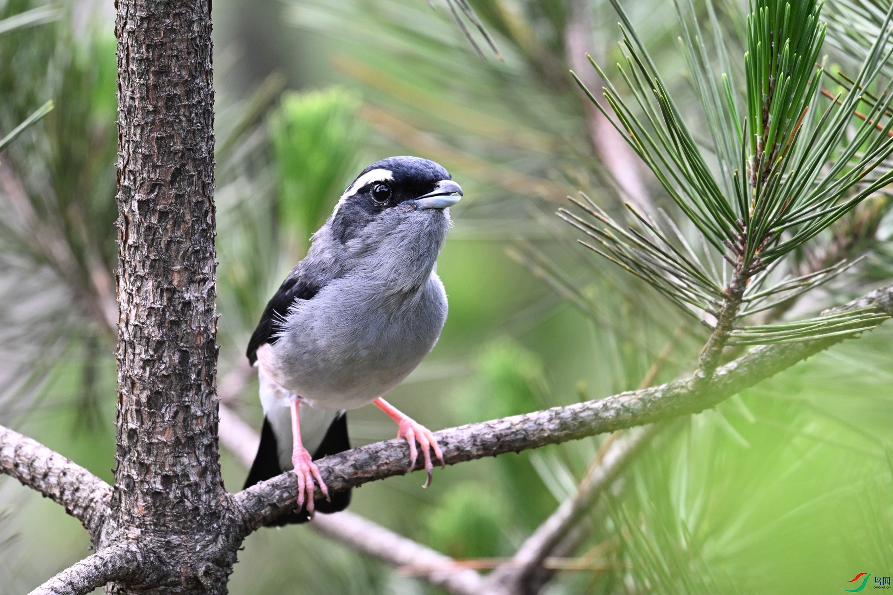 DSC_1317.JPG