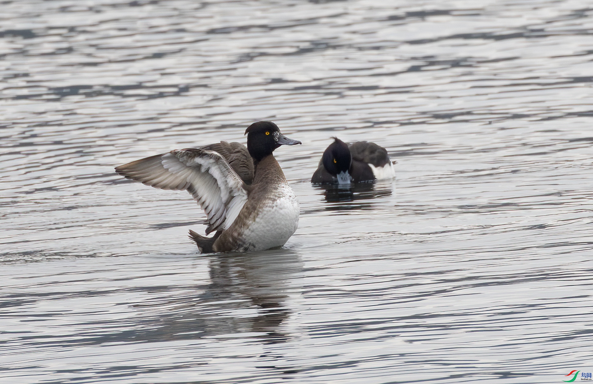 G47A7381-����ǿ-NR ����.jpg