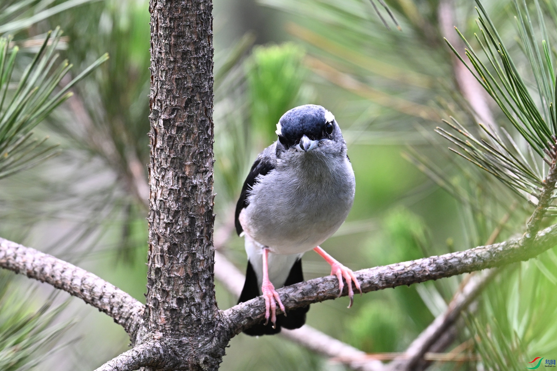 DSC_1320.JPG