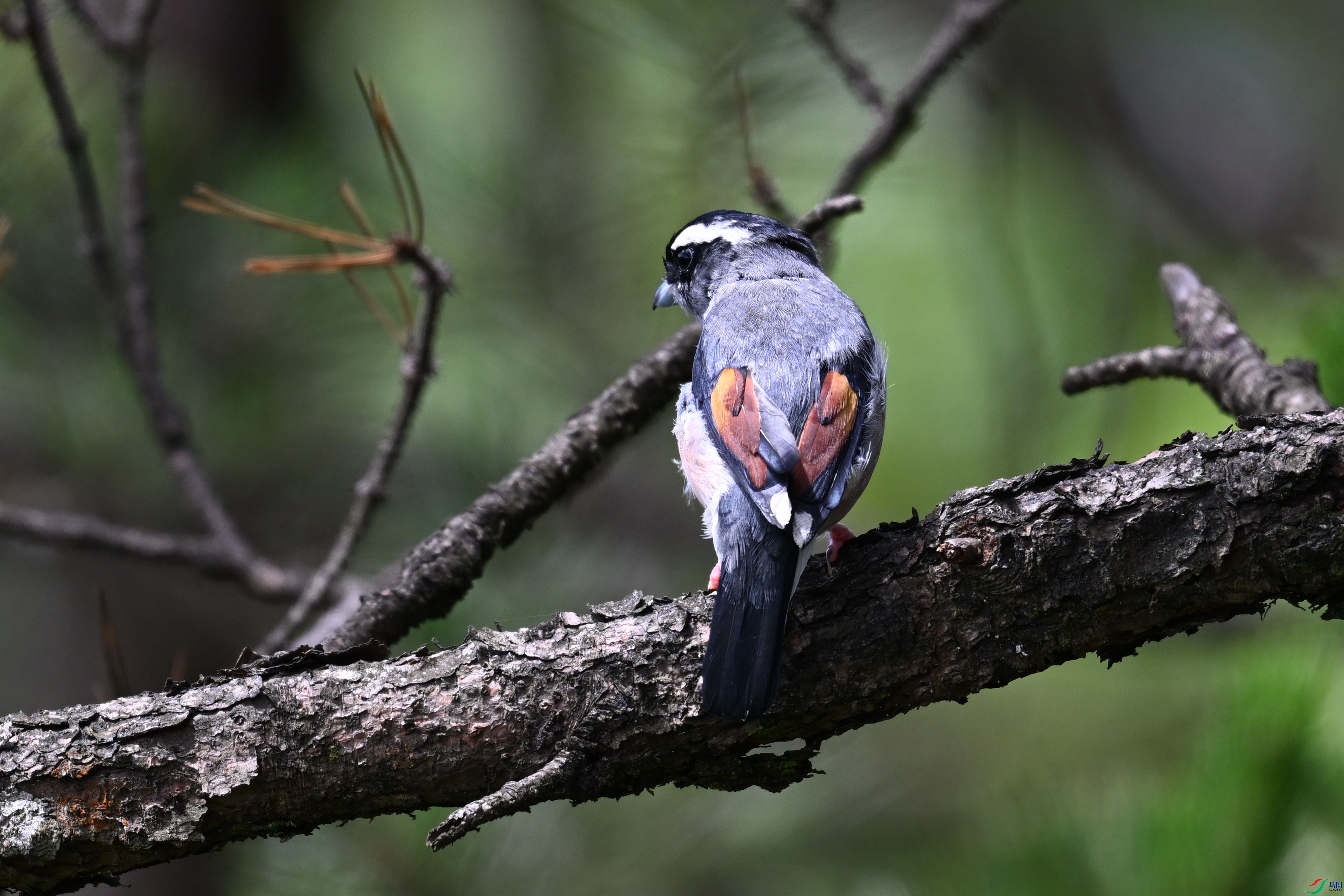 DSC_1388.JPG