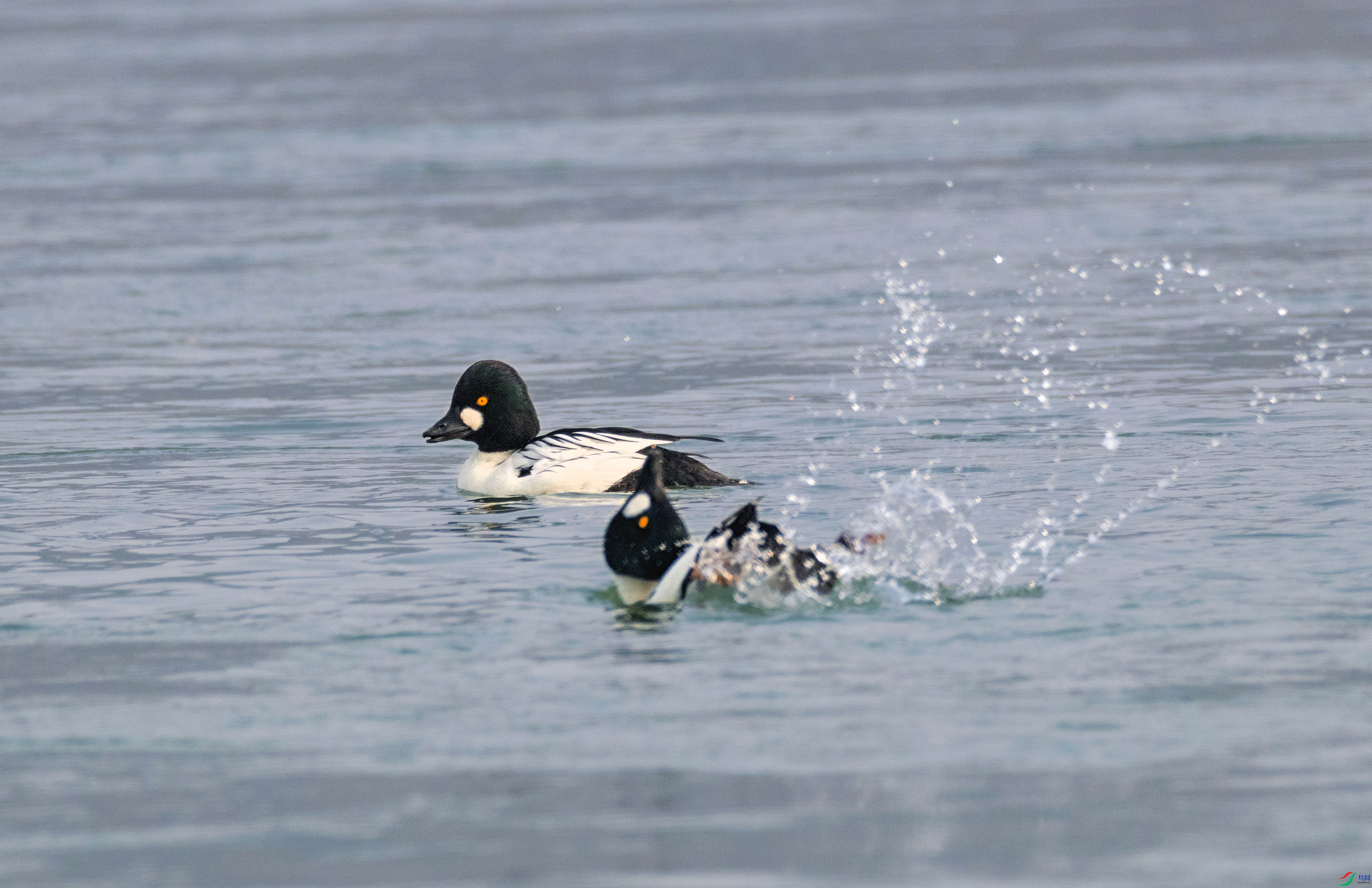 5N9A6006 ���� 2(3).jpg