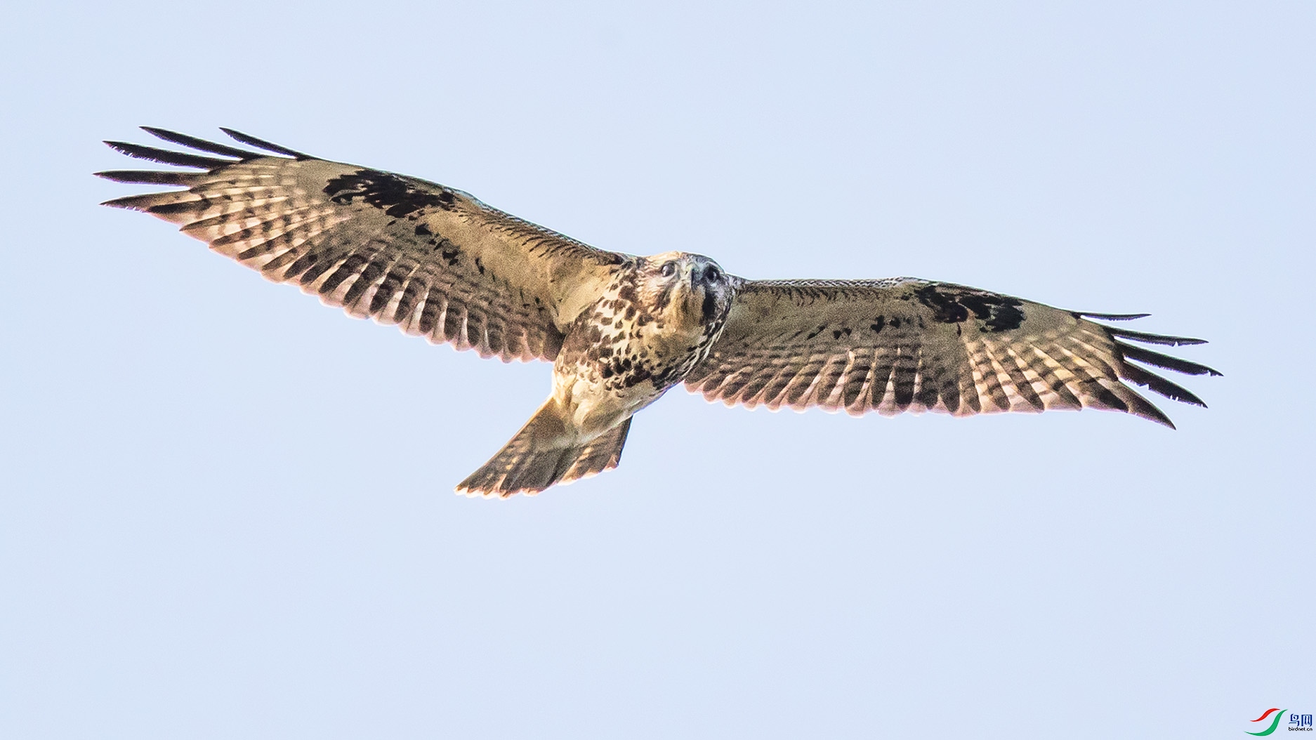 _90I9620 ����.jpg