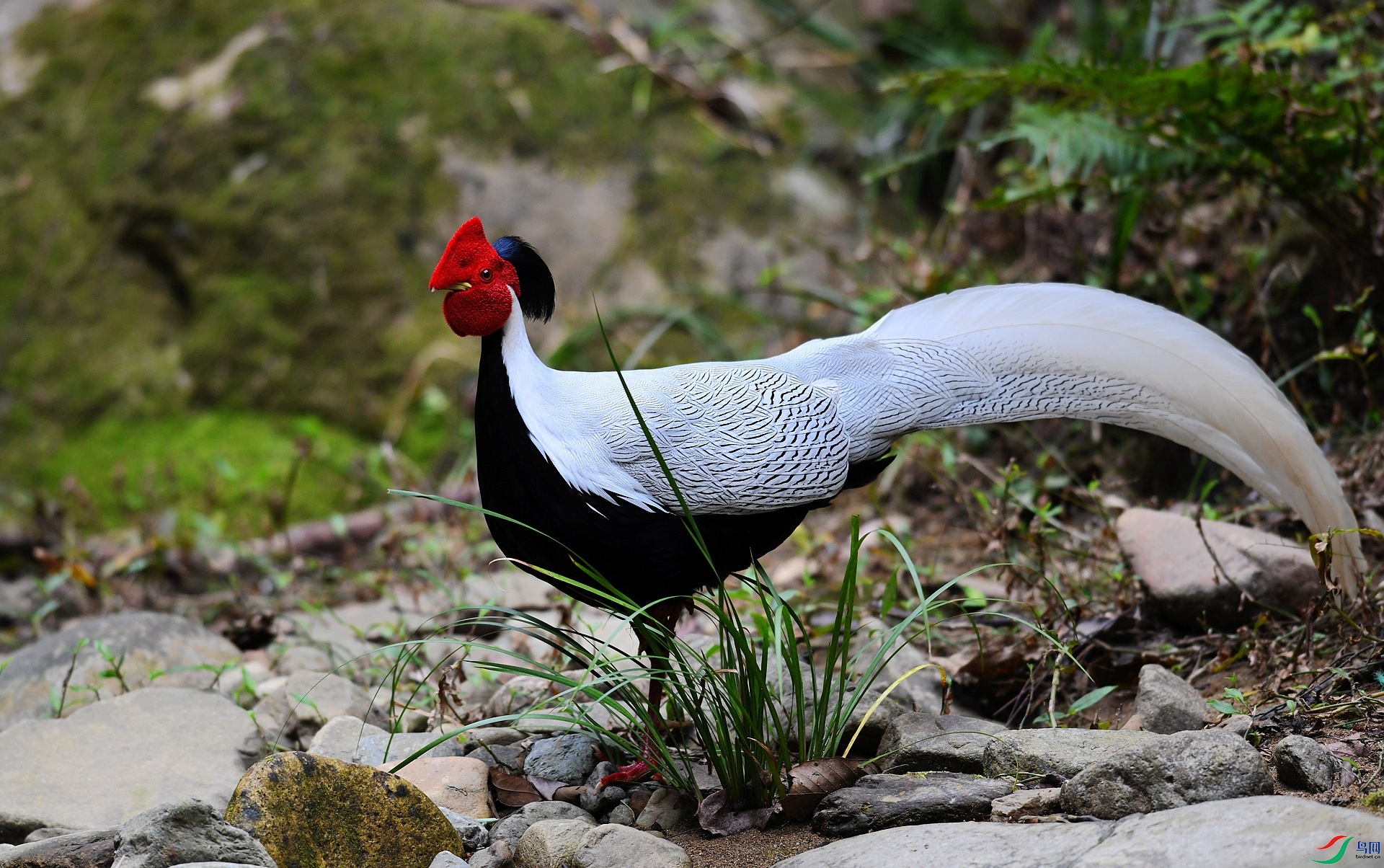 DSC_6763.jpg
