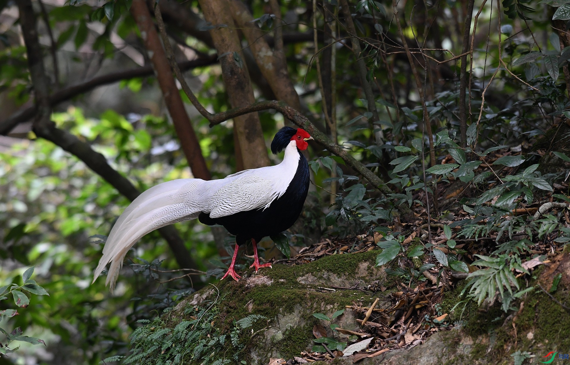 DSC_6414.jpg