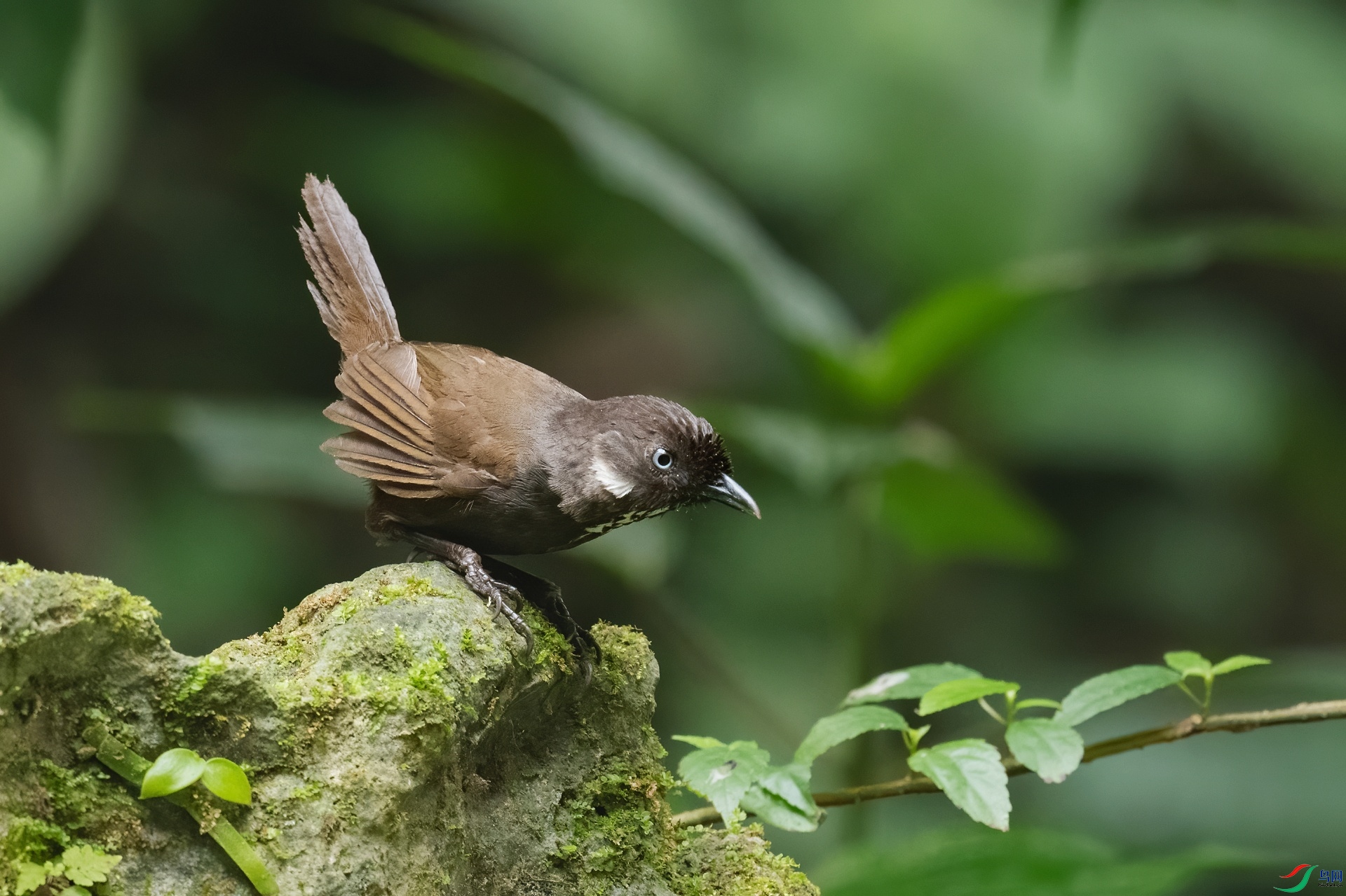 _DSC9193-01.jpeg