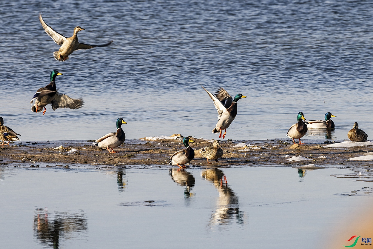 _5LM2794a.jpg