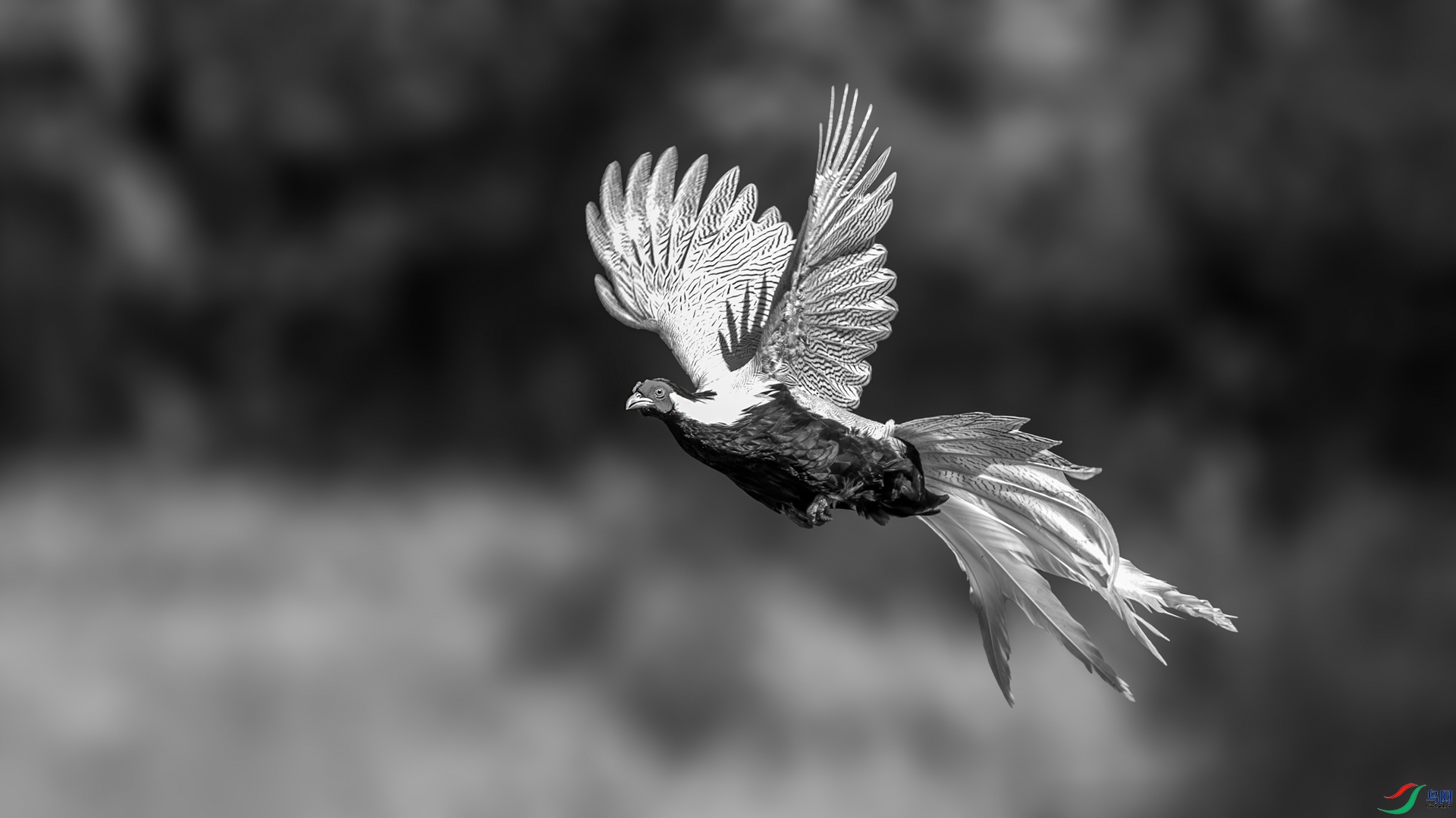 _16A7384-1.jpg
