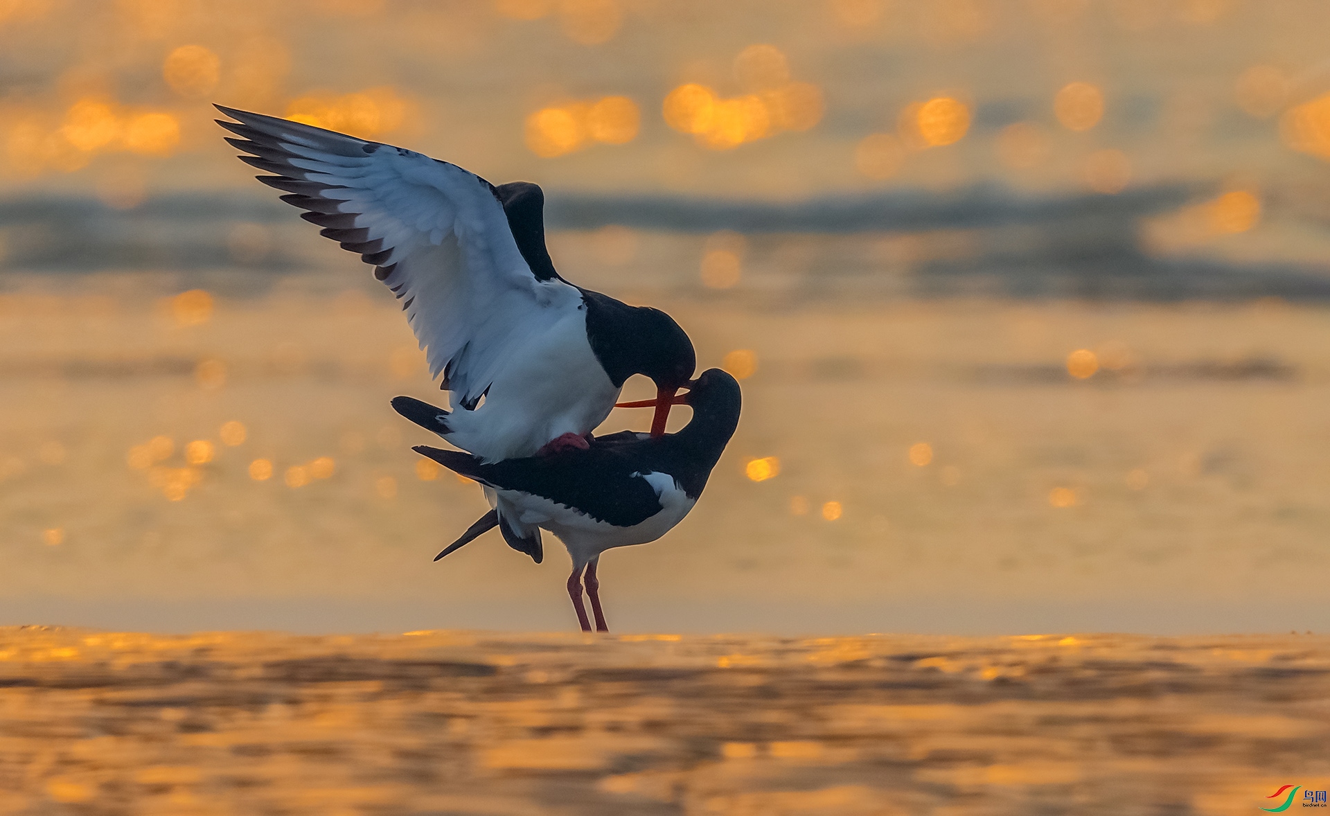 0E8A4599  ���ڴ��� 03.jpg