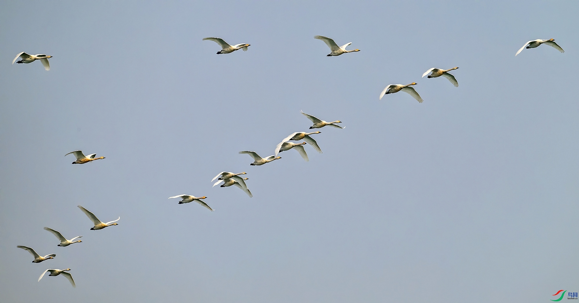 DSC_0866---_conew1.jpg