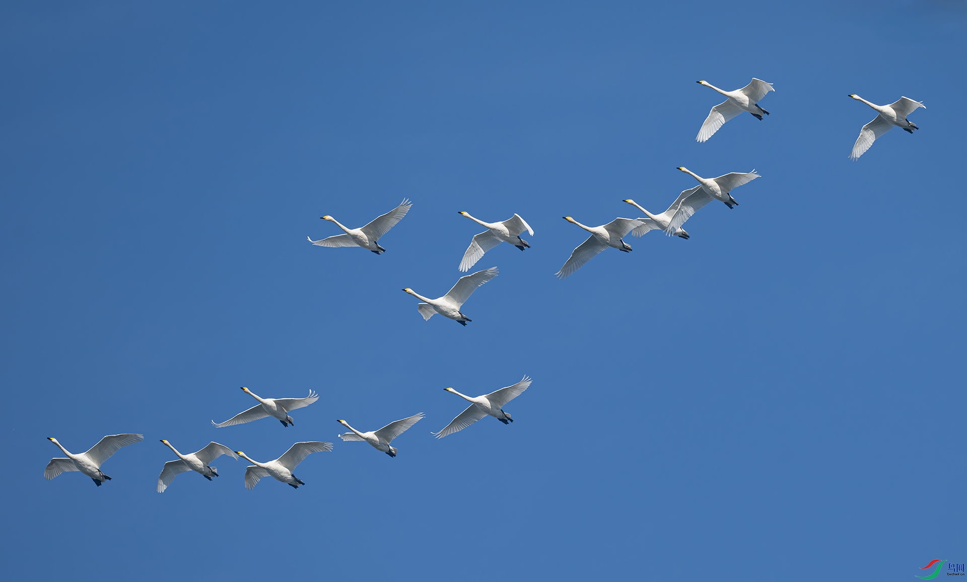 DSC_2776d2.jpg