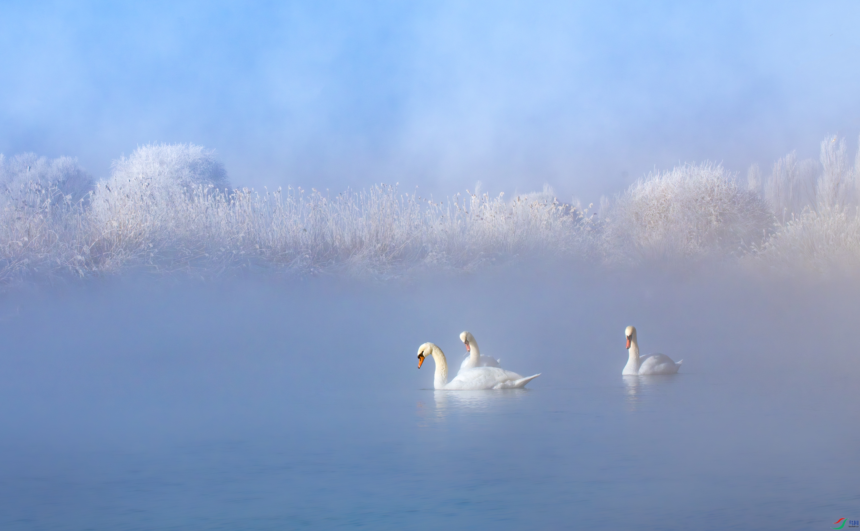 DSC_4874-11.jpg