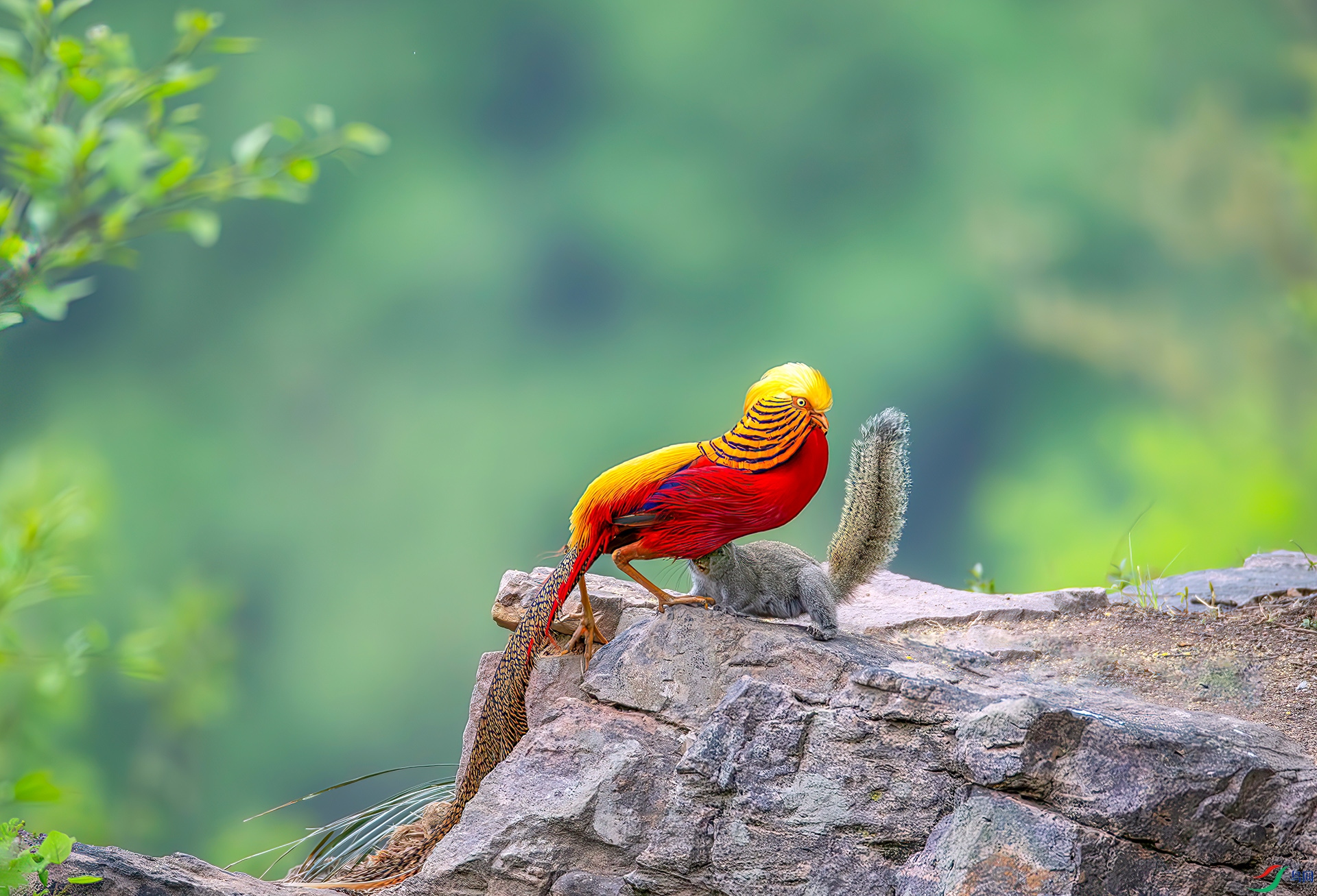 _S7I7672-----33  .jpg