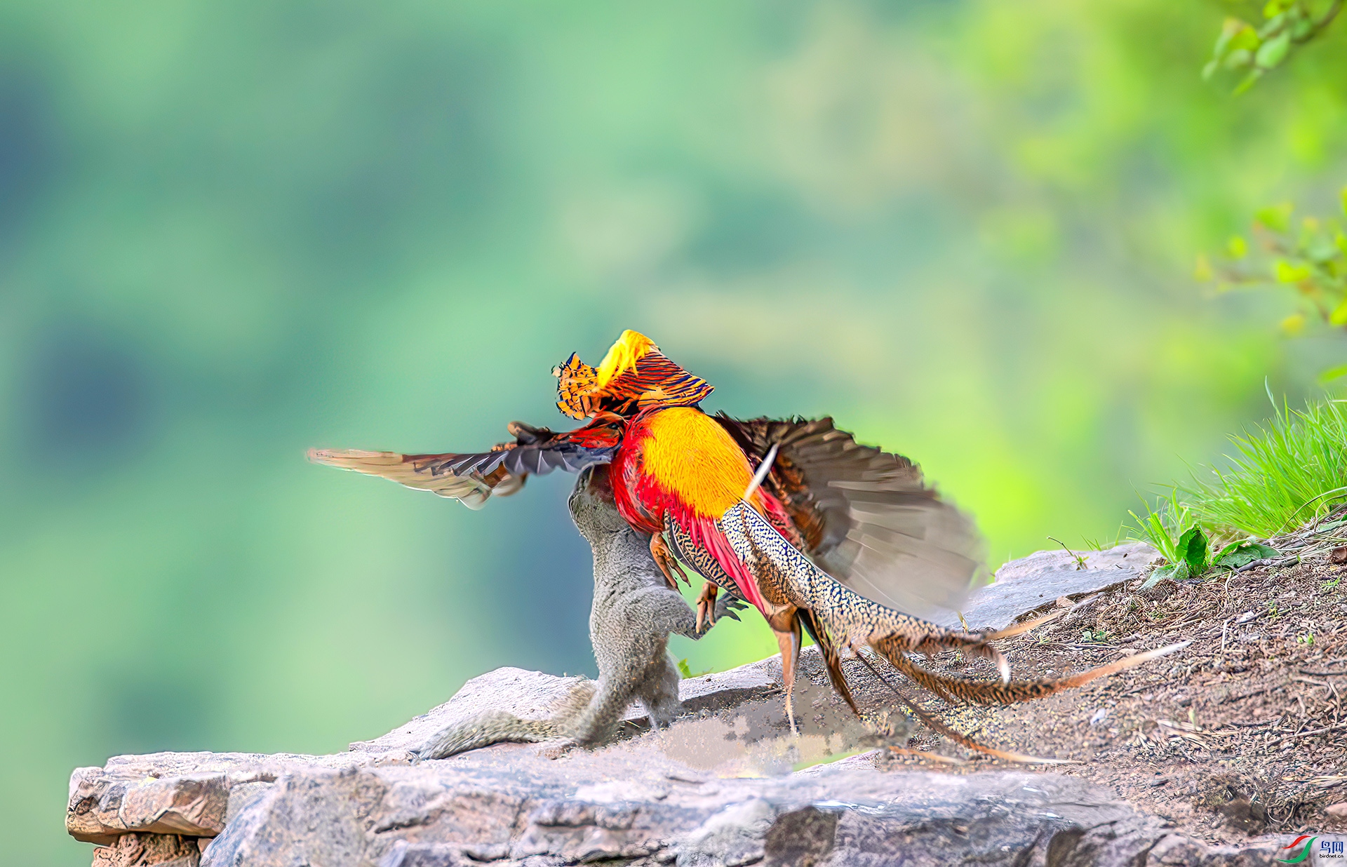 _S7I7932-----33  .jpg