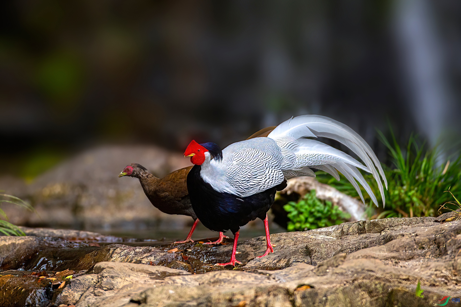 AS7I0216----2222-   .jpg