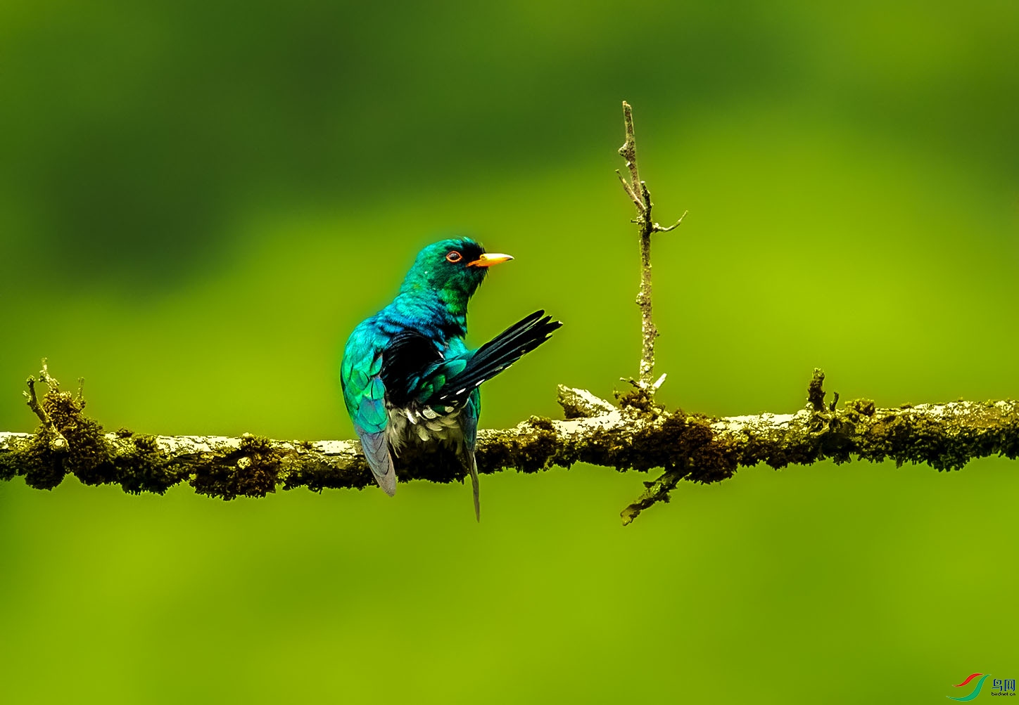 _24I4923 ����.jpg