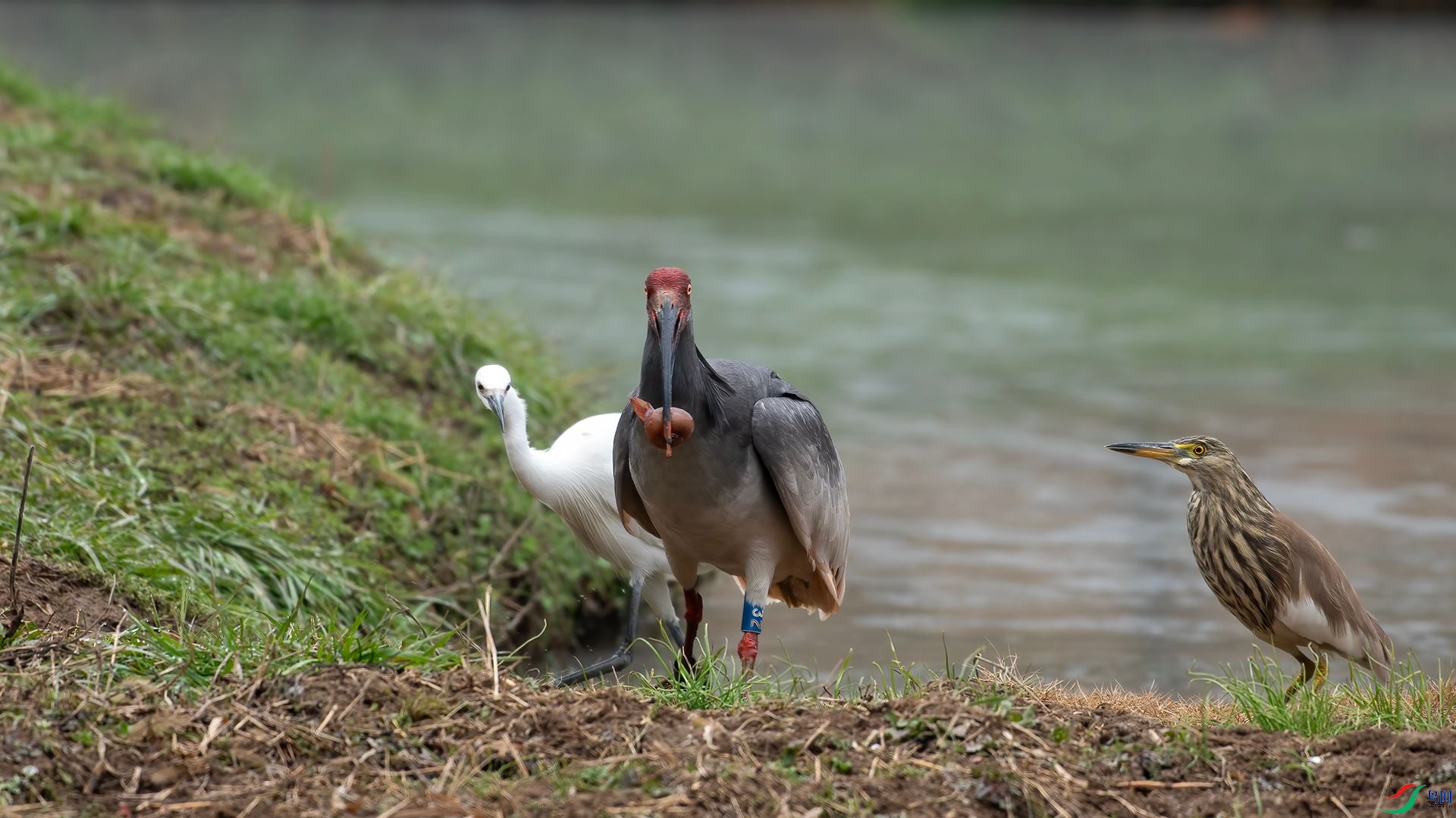 _DSC7348 ����.jpg