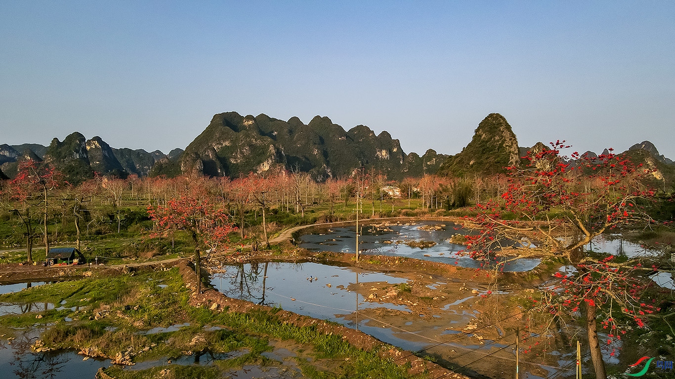 DJI_0937-0.jpg