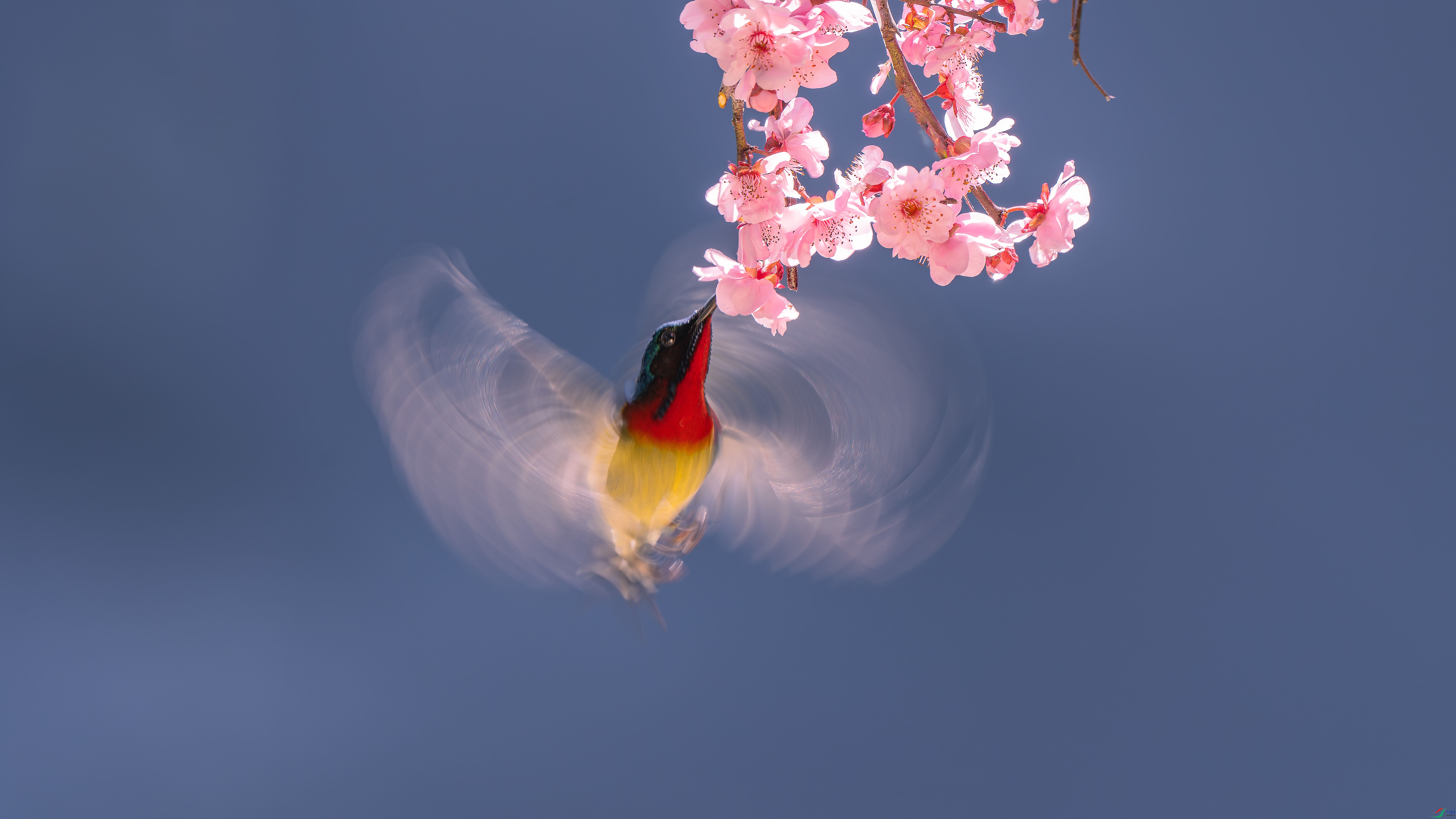 _DSC6047 ����.jpg