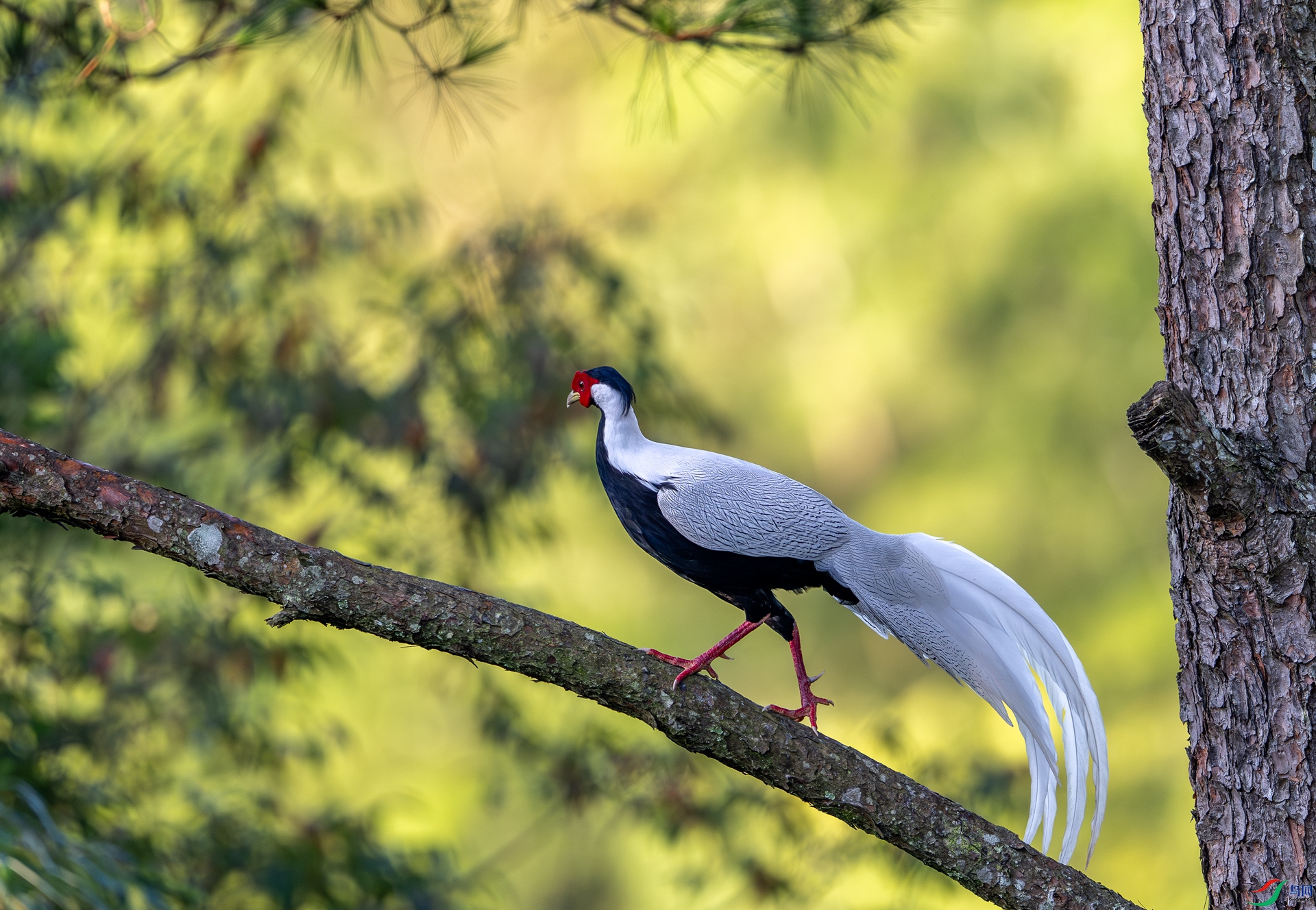 DSC_3907-1.jpg