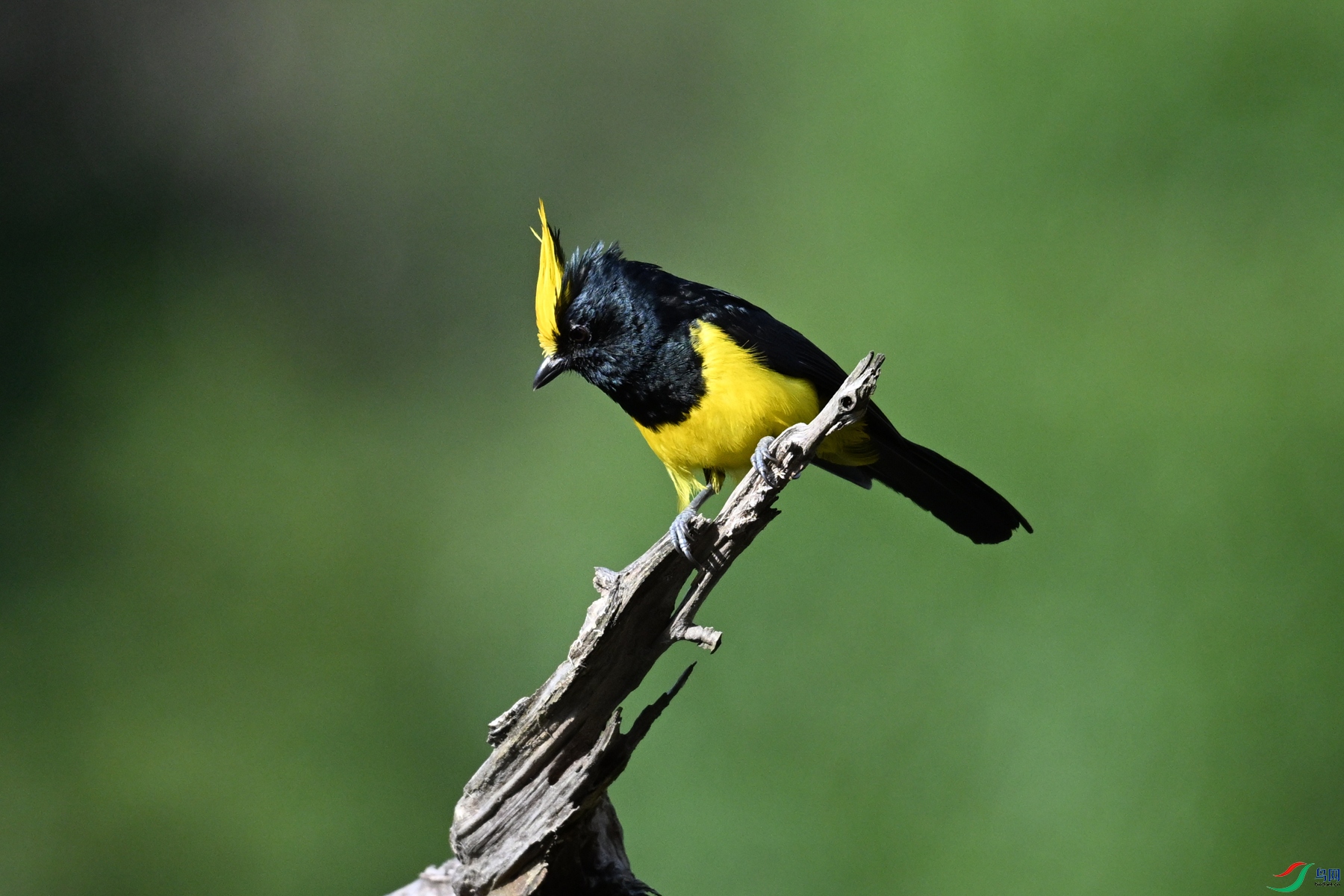 DSC_2366.JPG