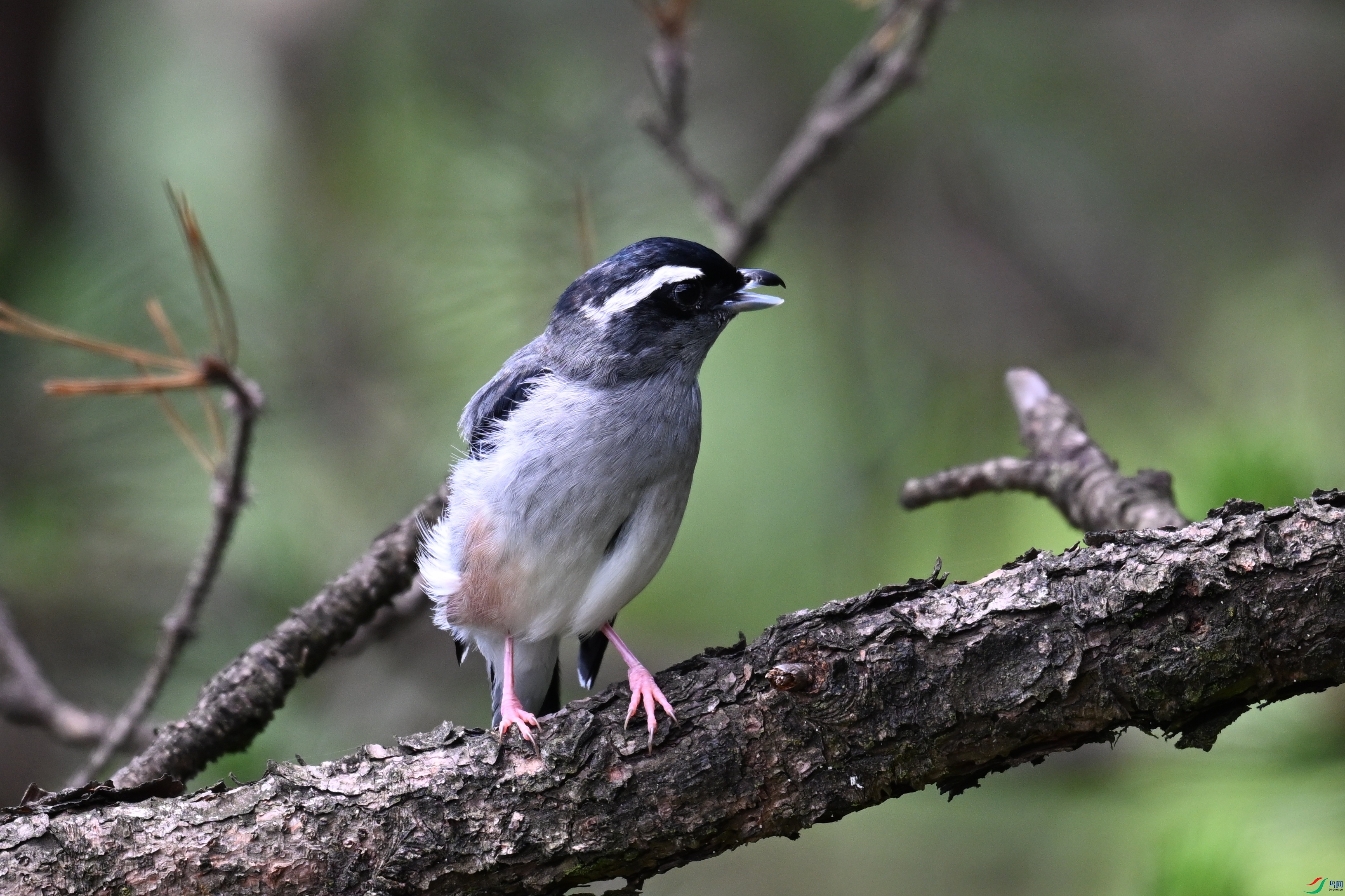 DSC_1378.JPG