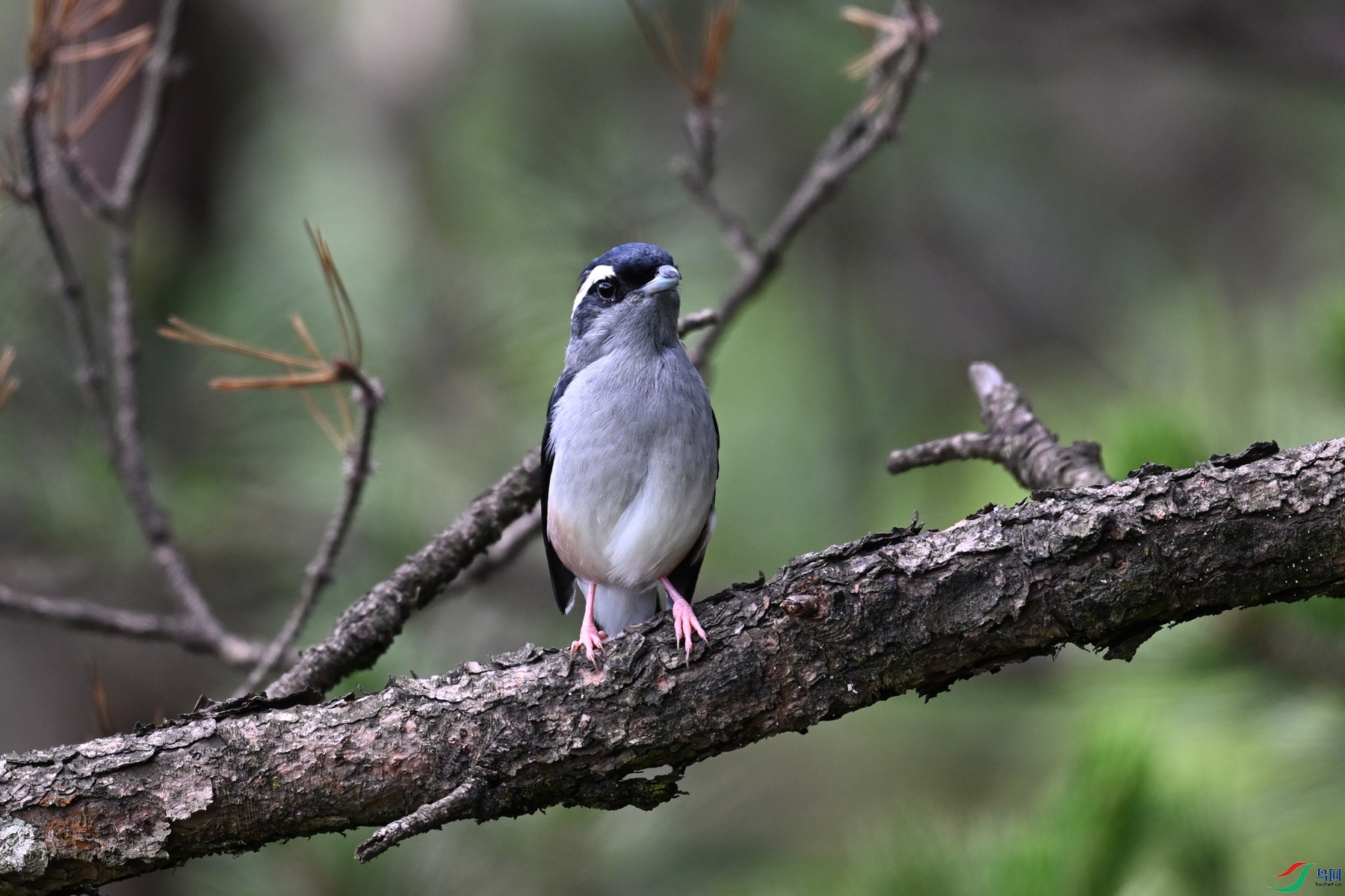 DSC_1356.JPG
