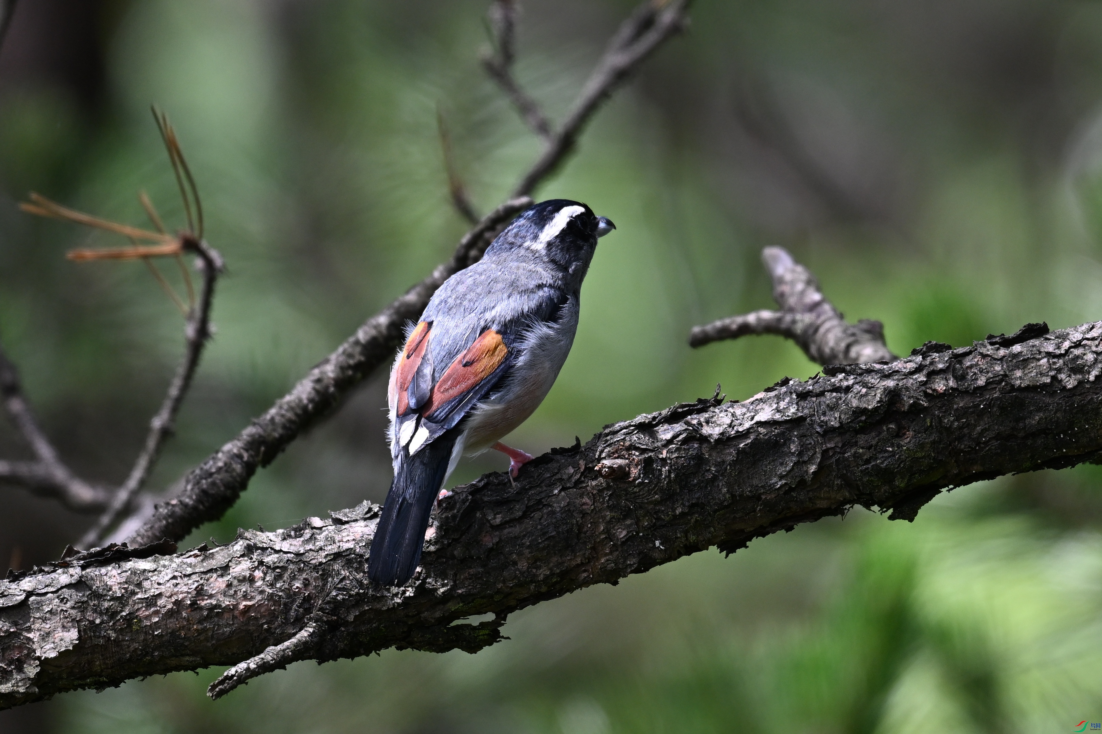 DSC_1394.JPG