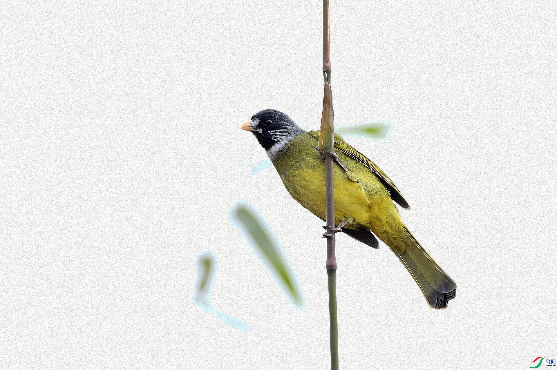 DSC_7138.jpg
