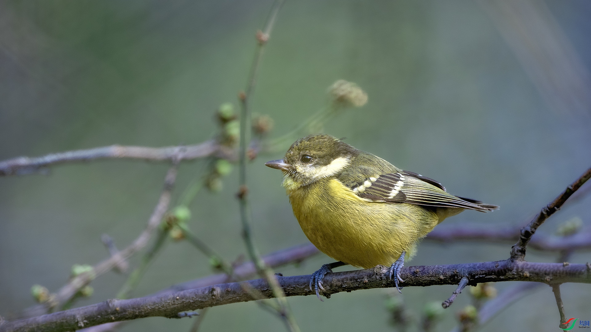 DSC_0224 ����.jpg