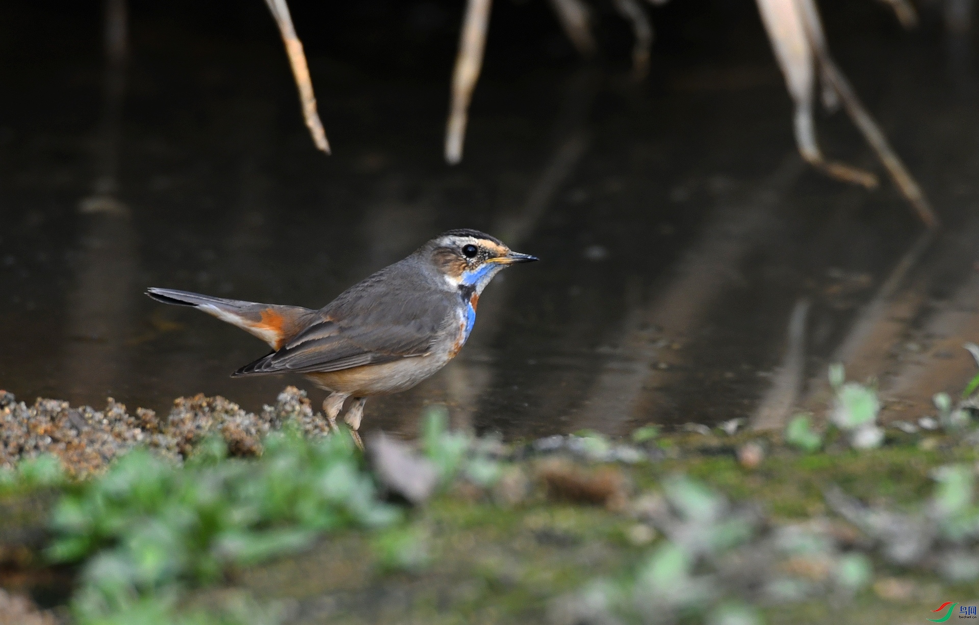 DSC_6567.jpg