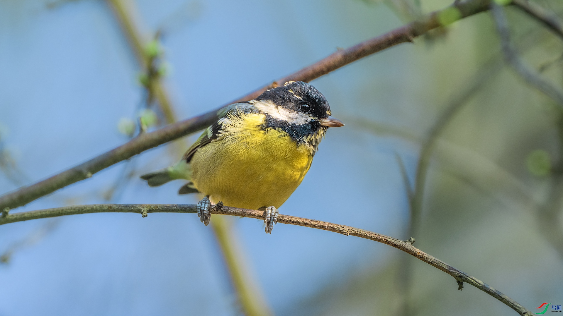 DSC_0267 ����.jpg