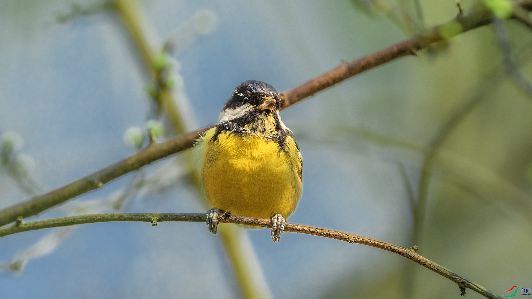 DSC_0269 ����.jpg