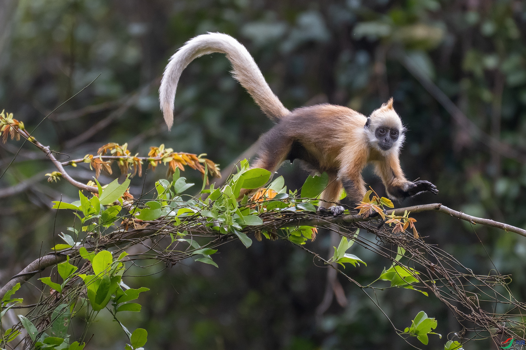 DSC_1068 ����1.jpg