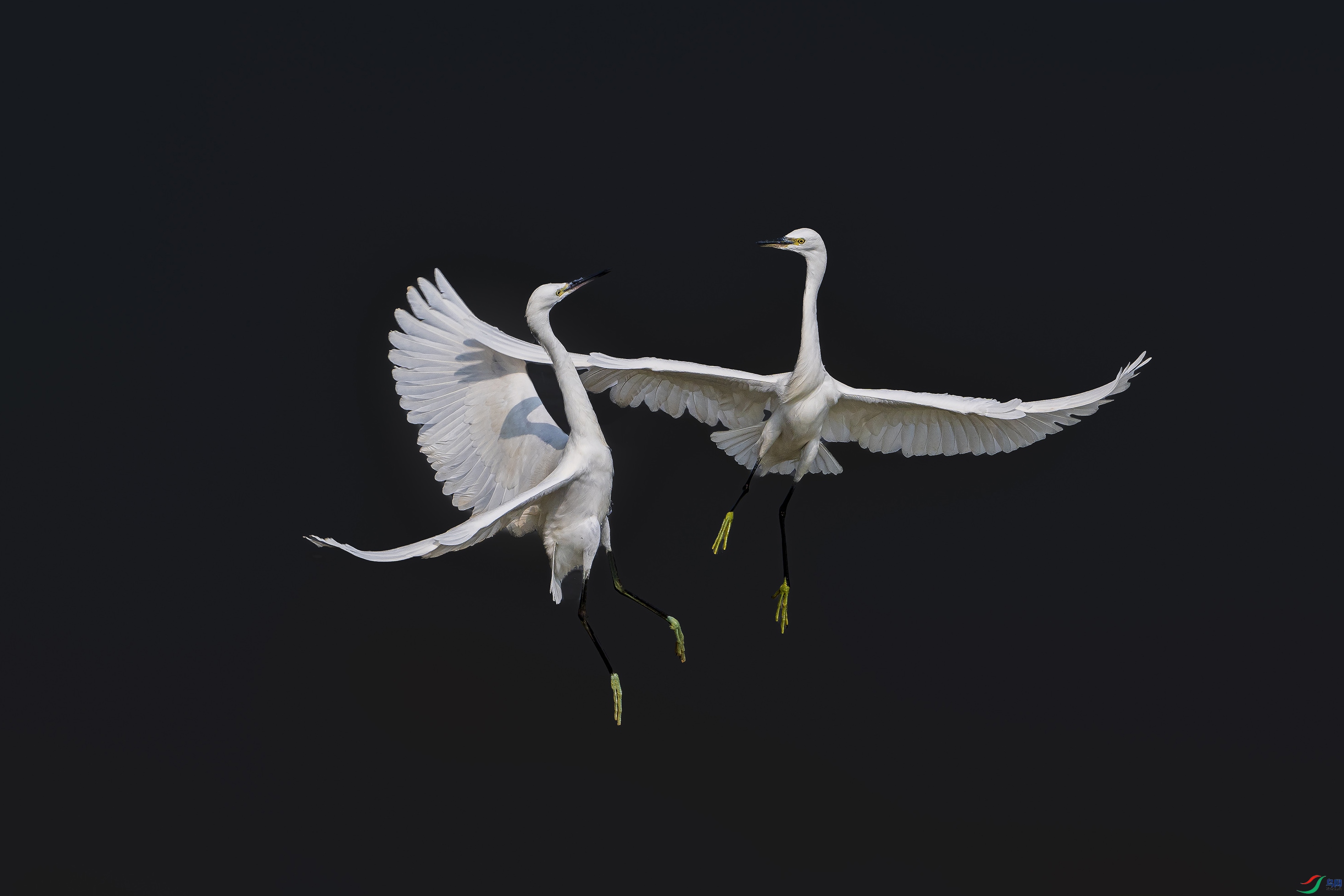 _DSN3099.jpg