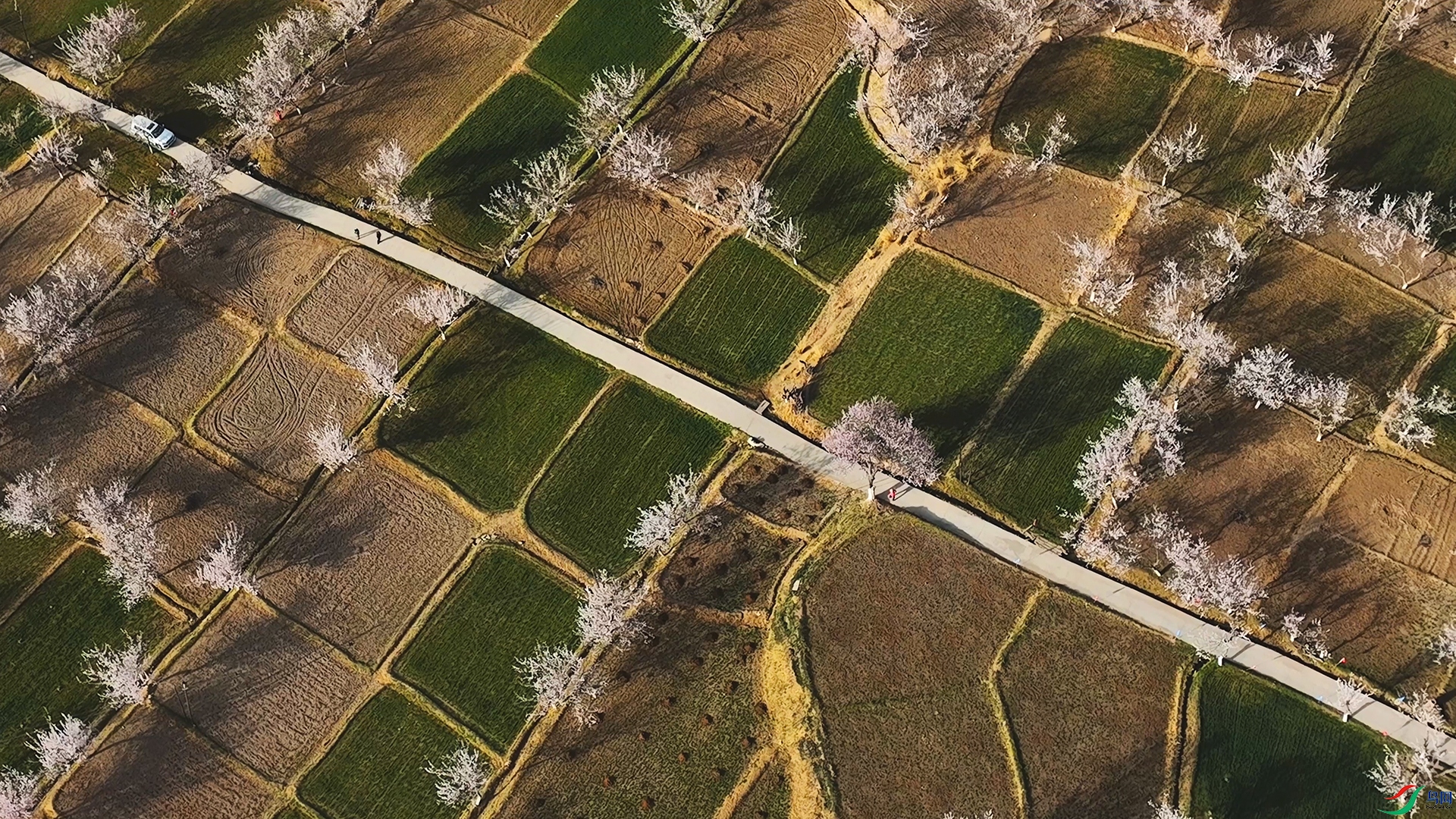 3��6�� (2) ����.jpg