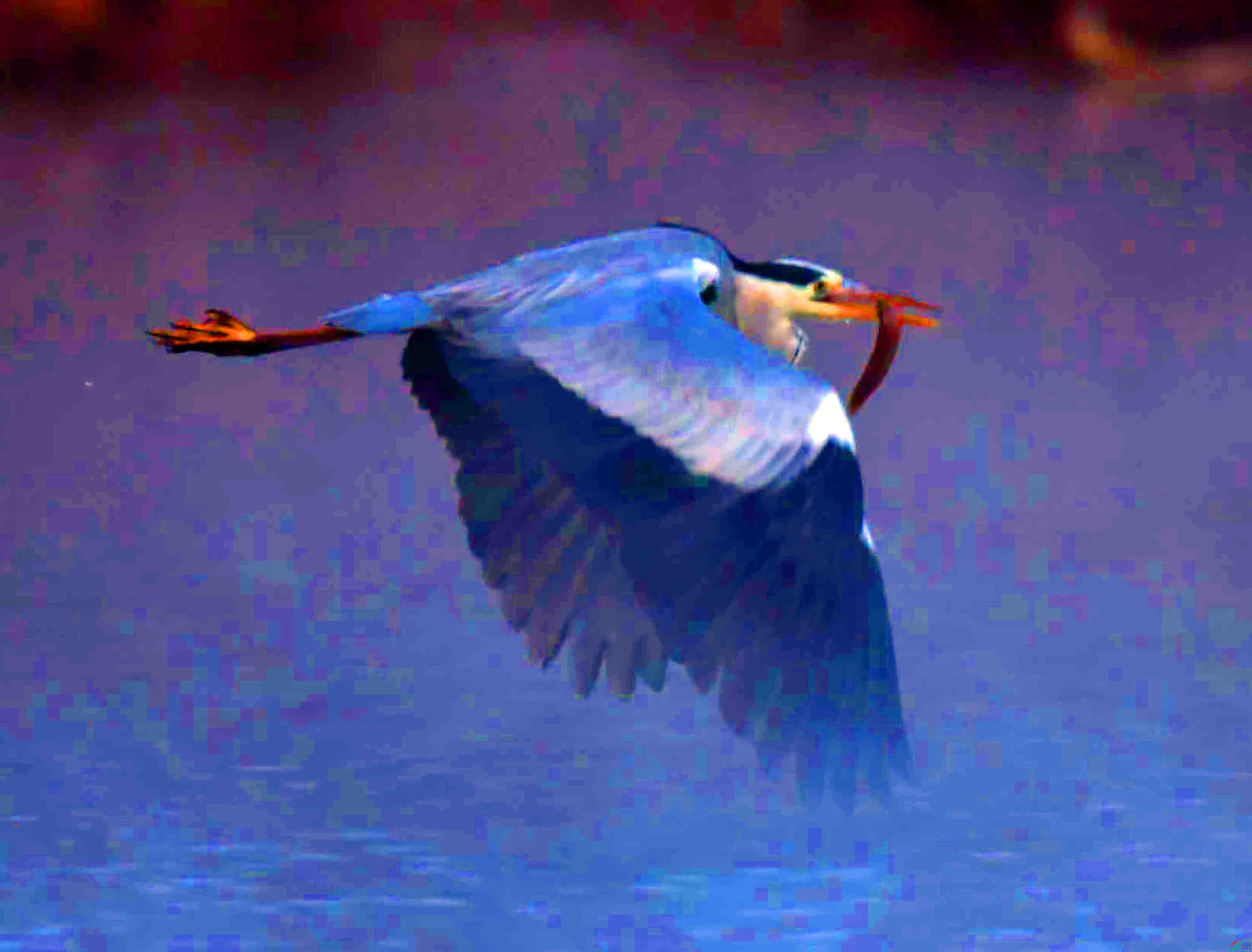 DSC_9172.JPG