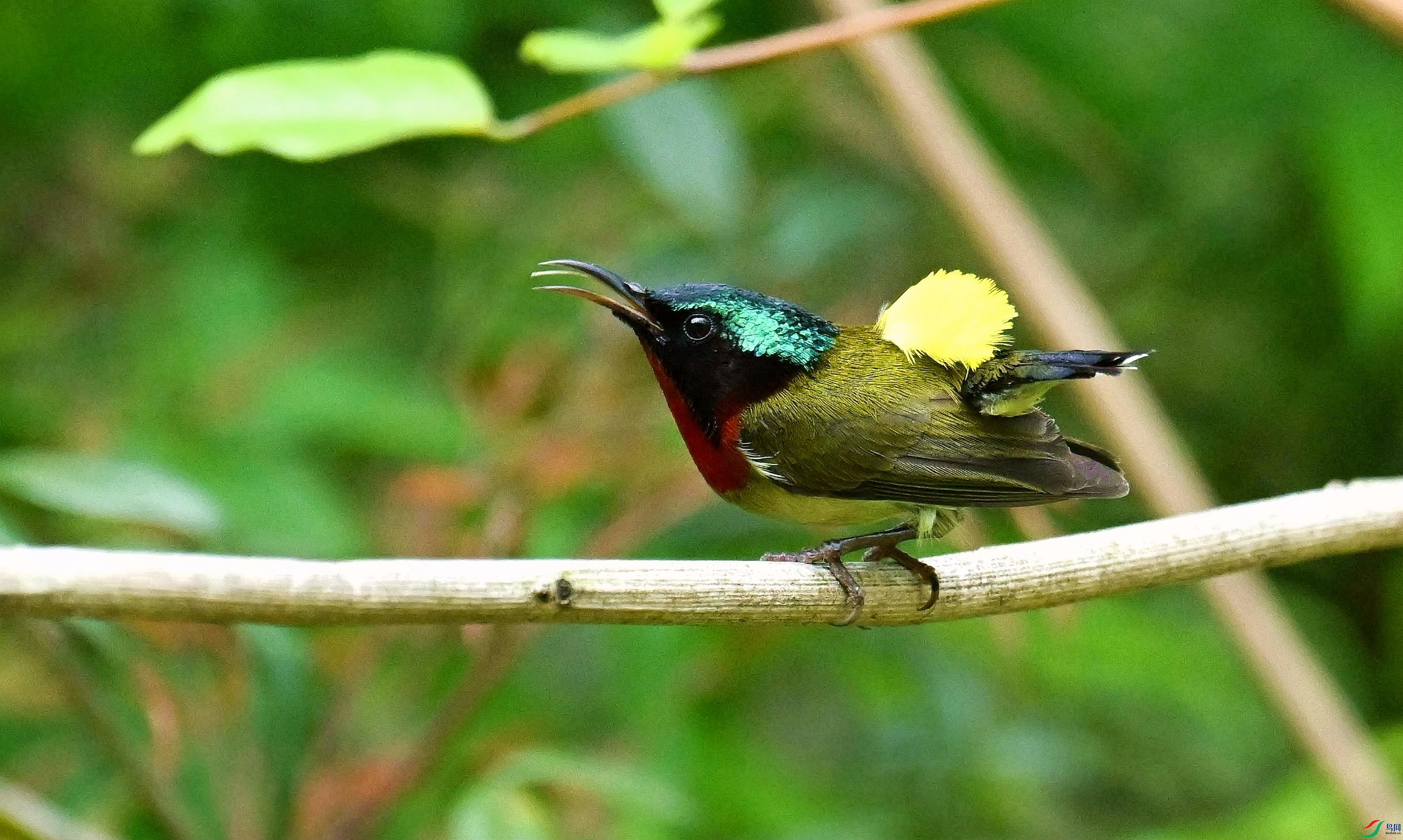 DSC_7869_����.jpg