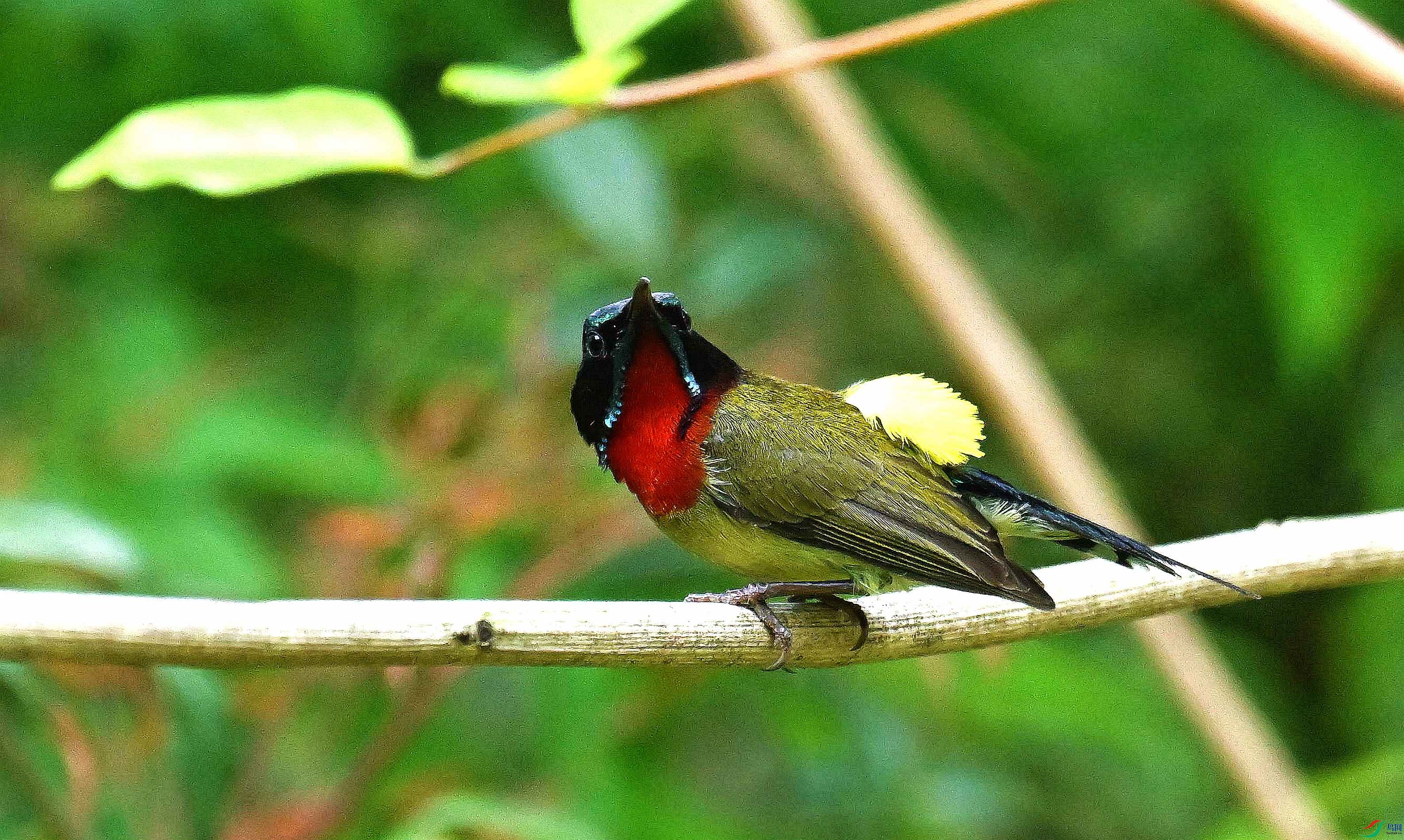 DSC_8040_����.jpg
